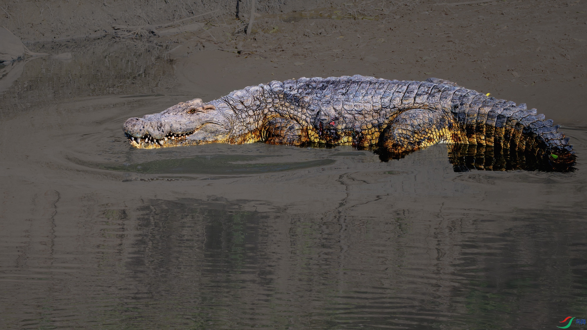 _DSC7664-����ǿ-NR ����_1.jpg