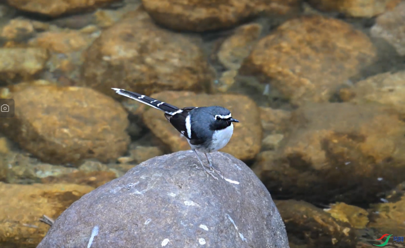 {8328D7EE-2843-4736-B9C4-FCA0808E470D} ����.jpg