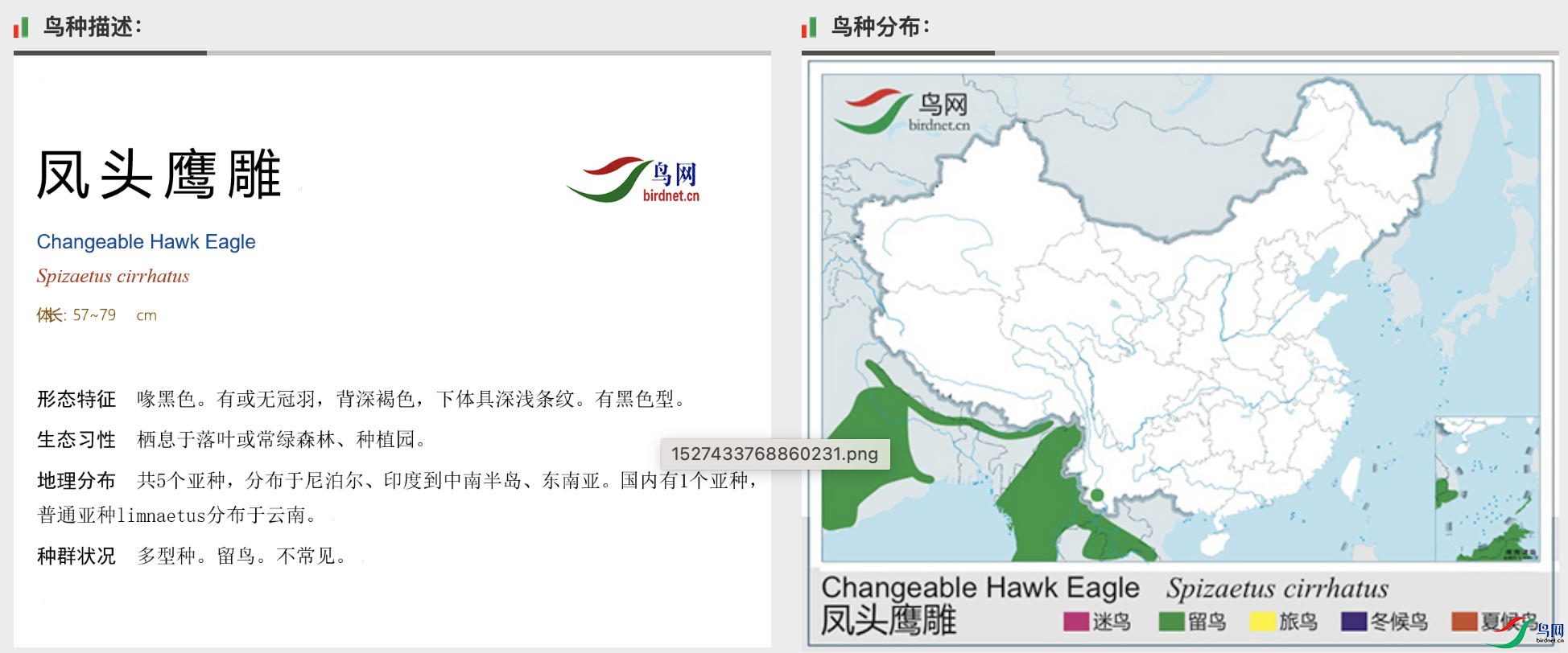 ����2025-03-02 21.04.41.png