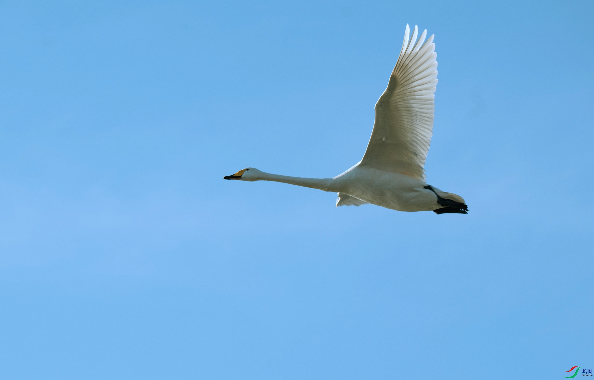 _DSC8082.jpg