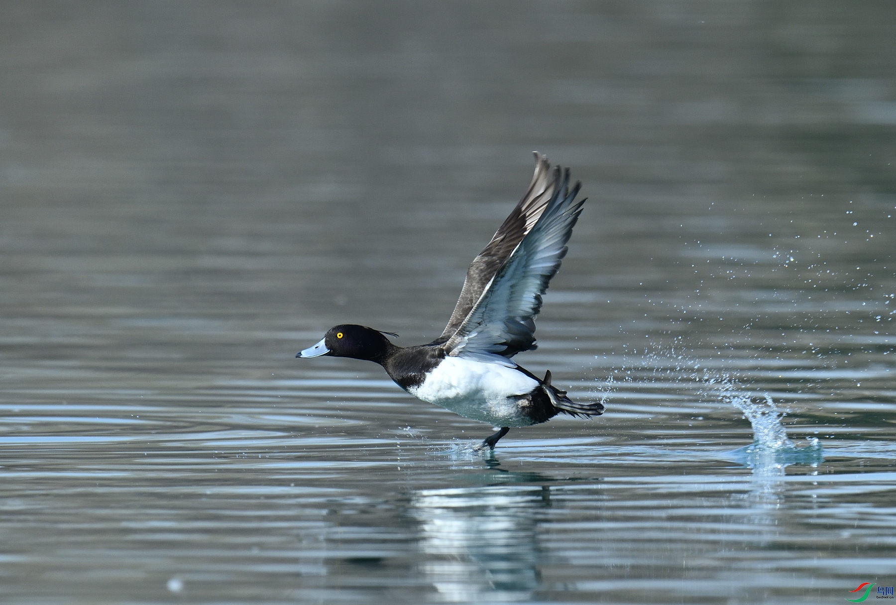 DSC_4155.JPG