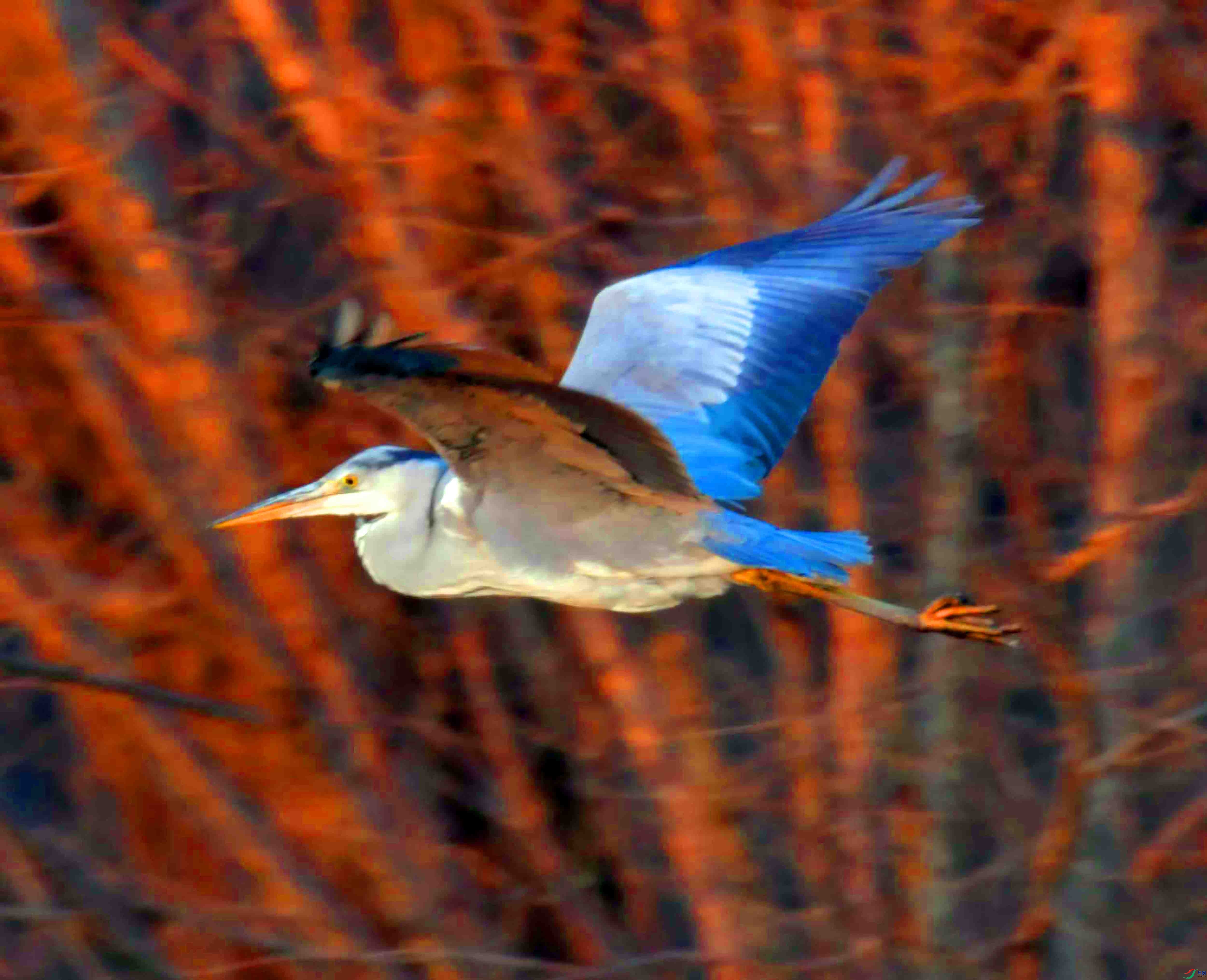 DSC_2415.JPG