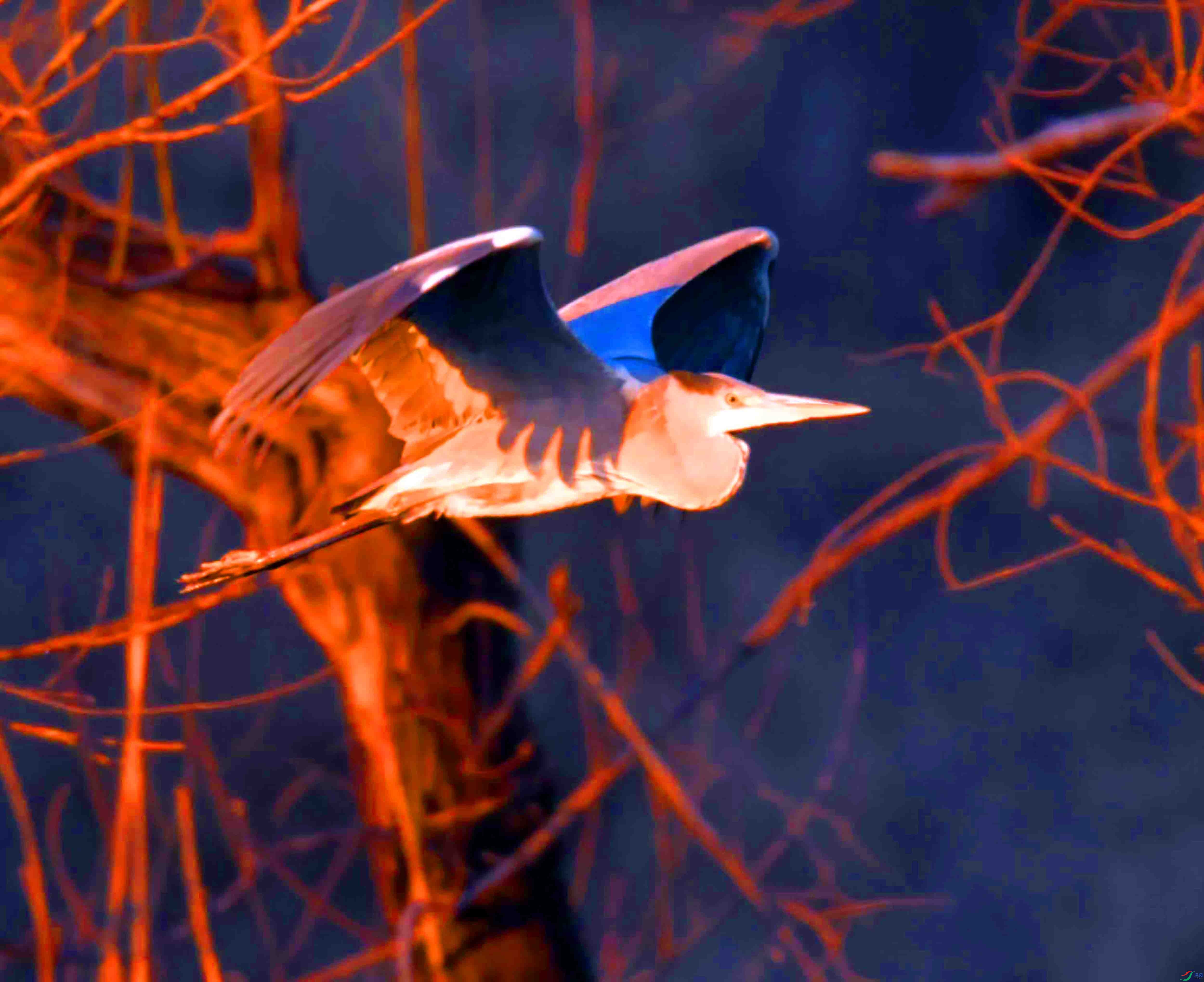 DSC_2489.JPG