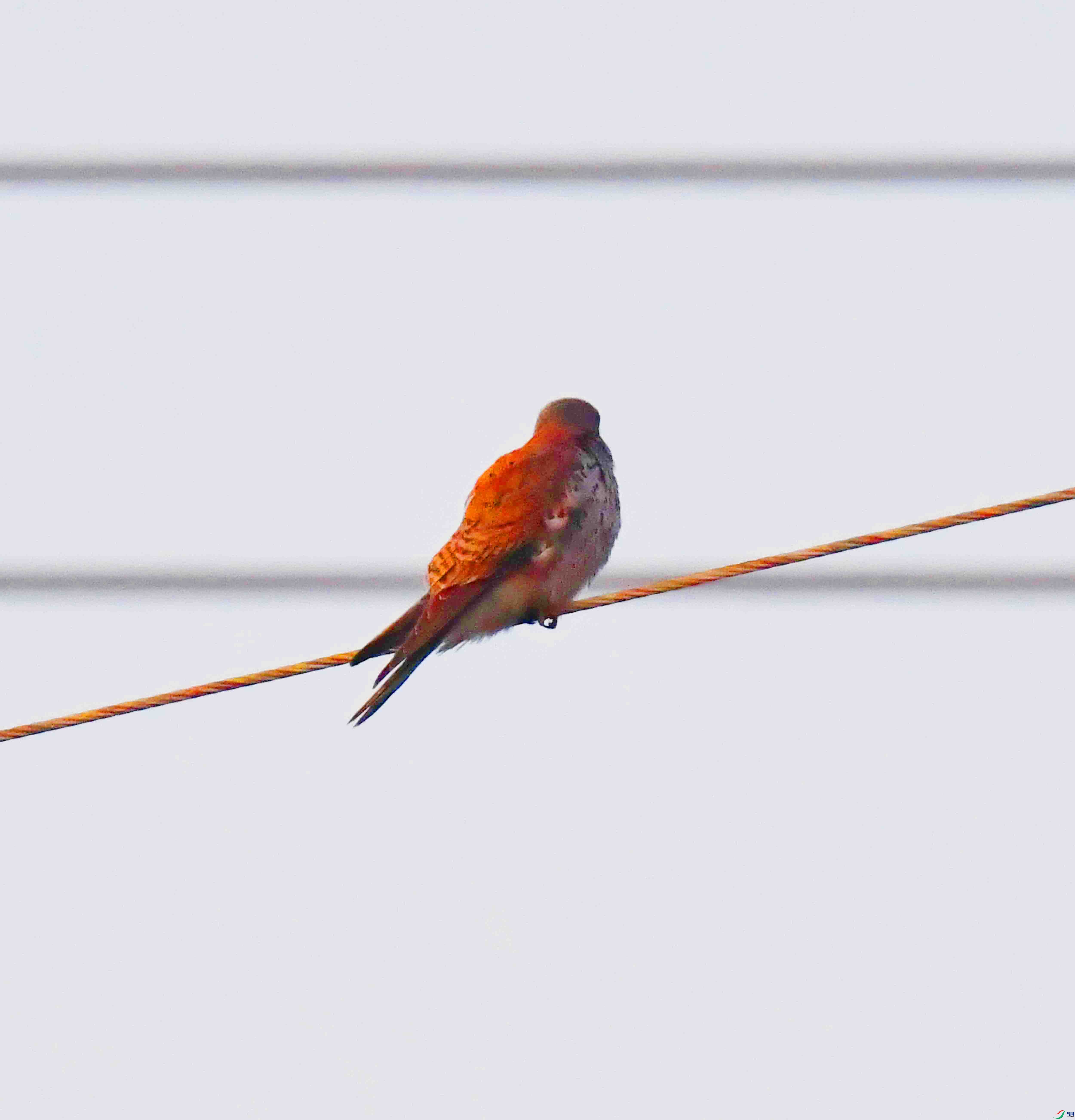 DSC_2344.JPG