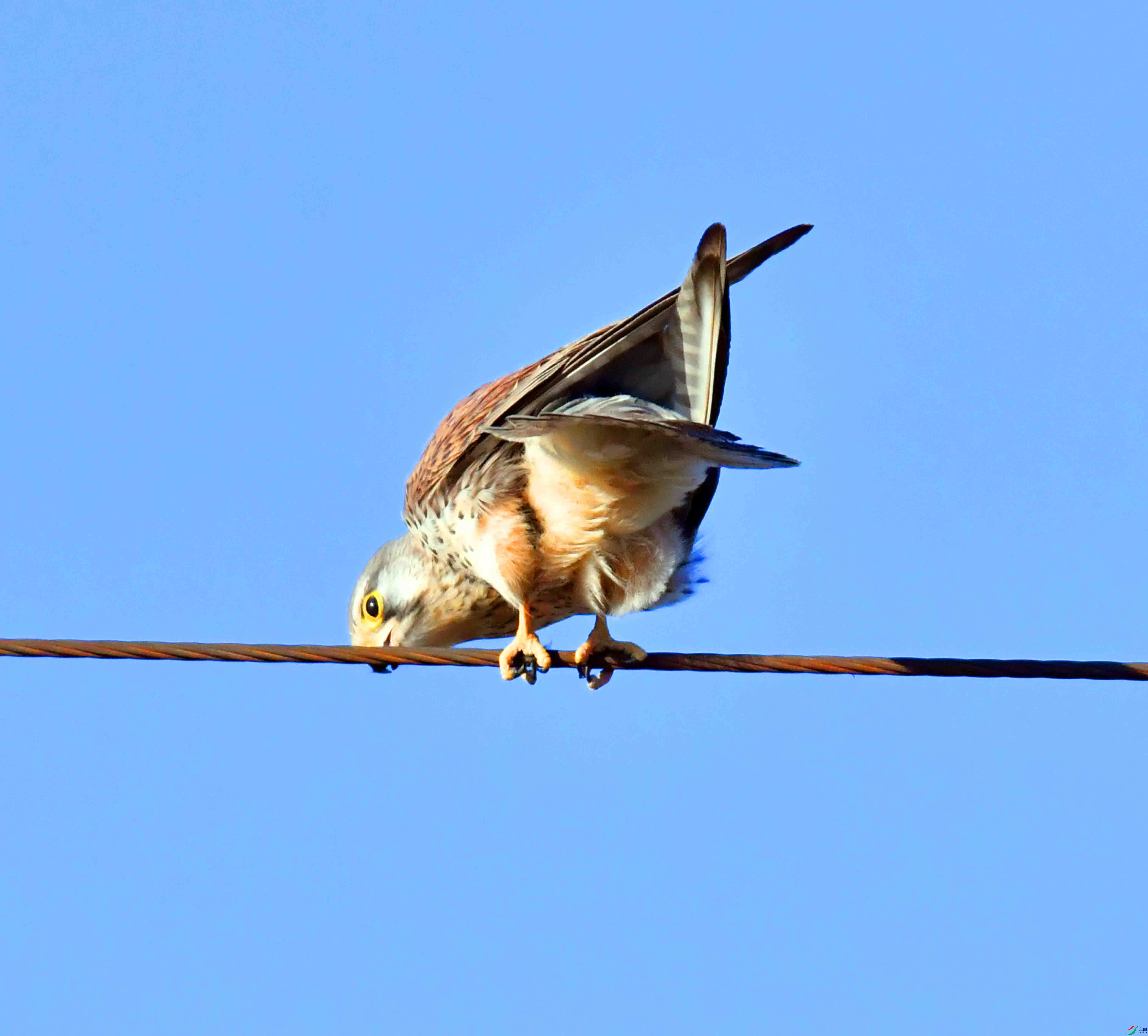 DSC_6840.JPG