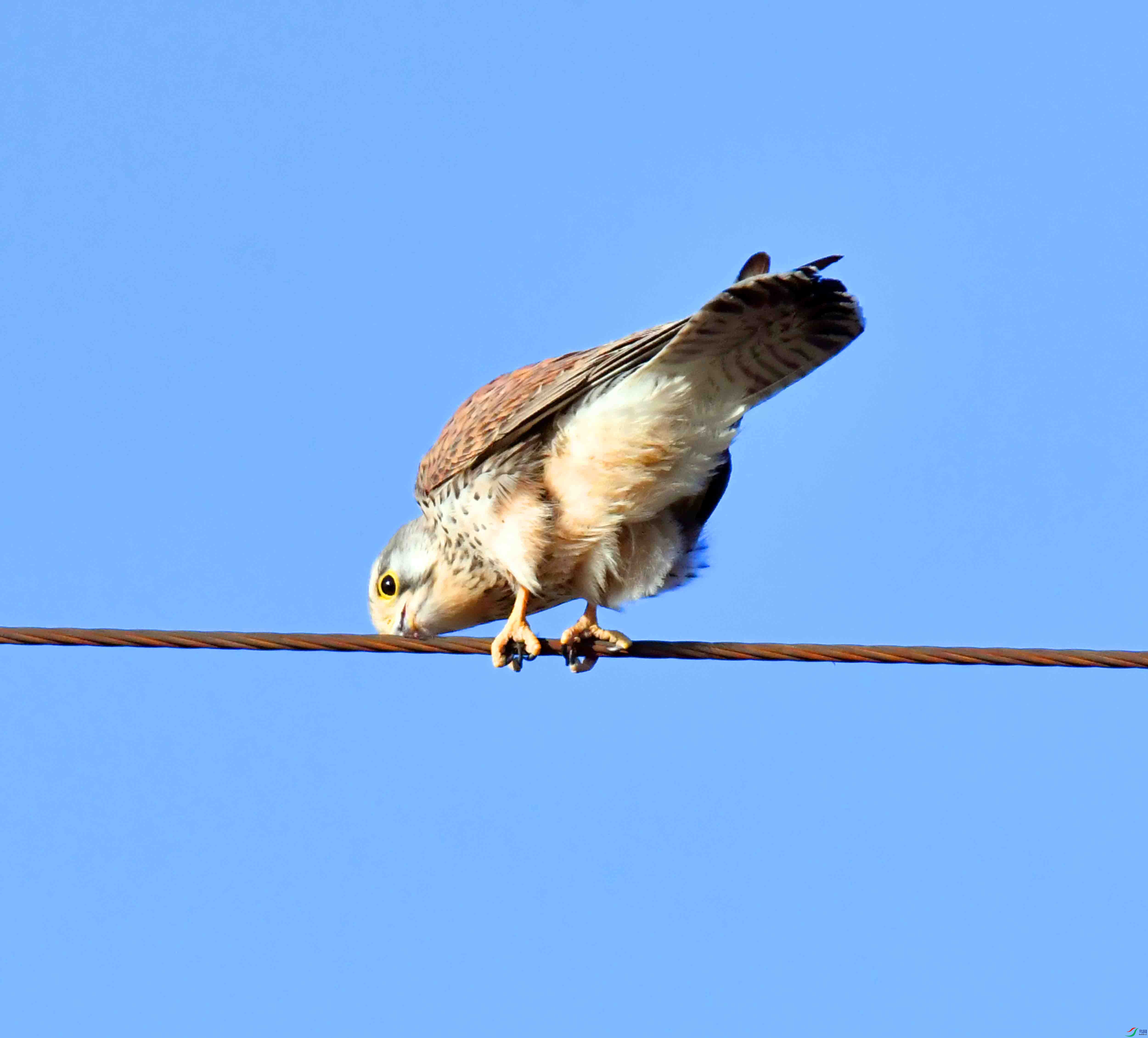 DSC_6846.JPG