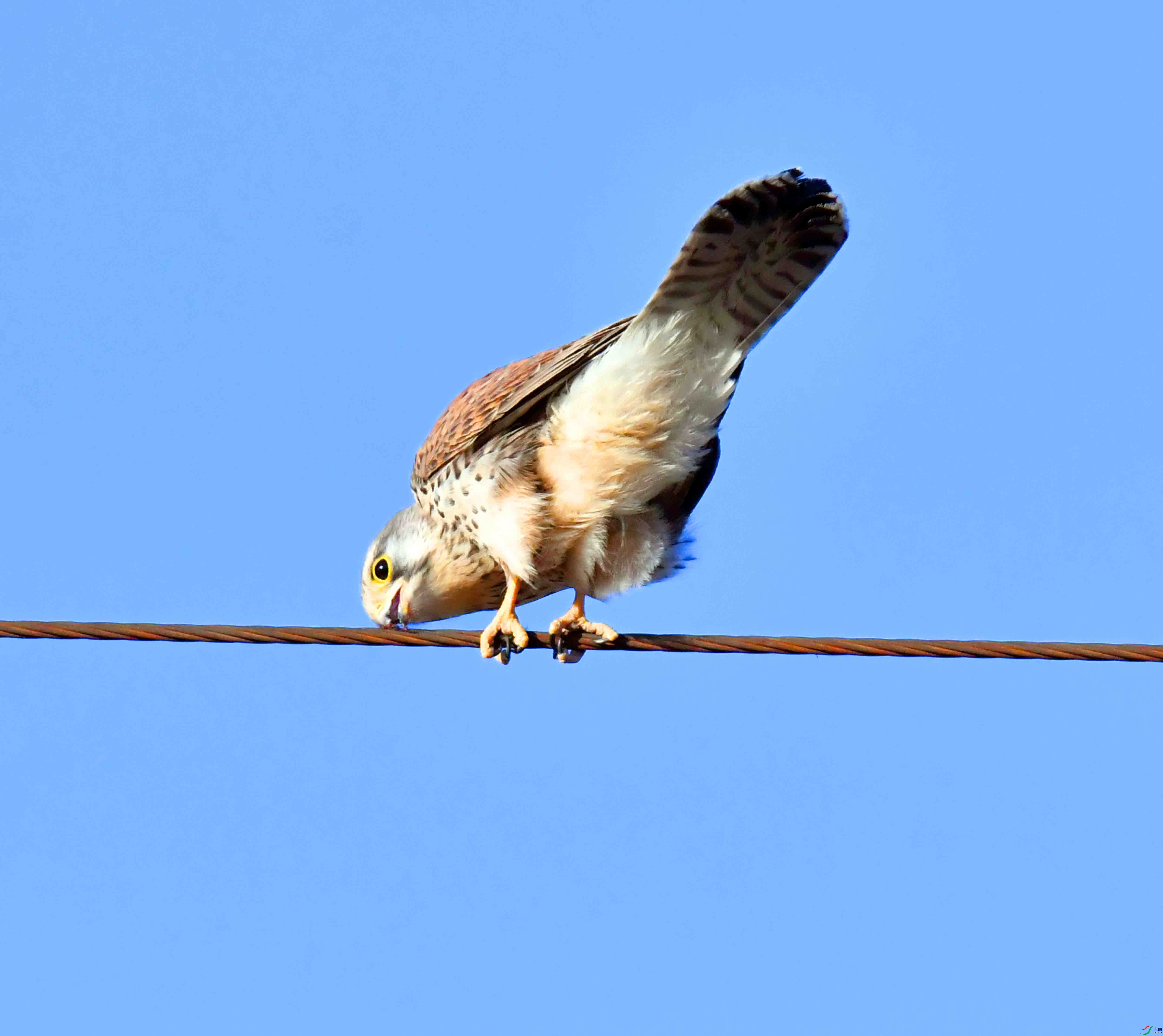 DSC_6845.JPG