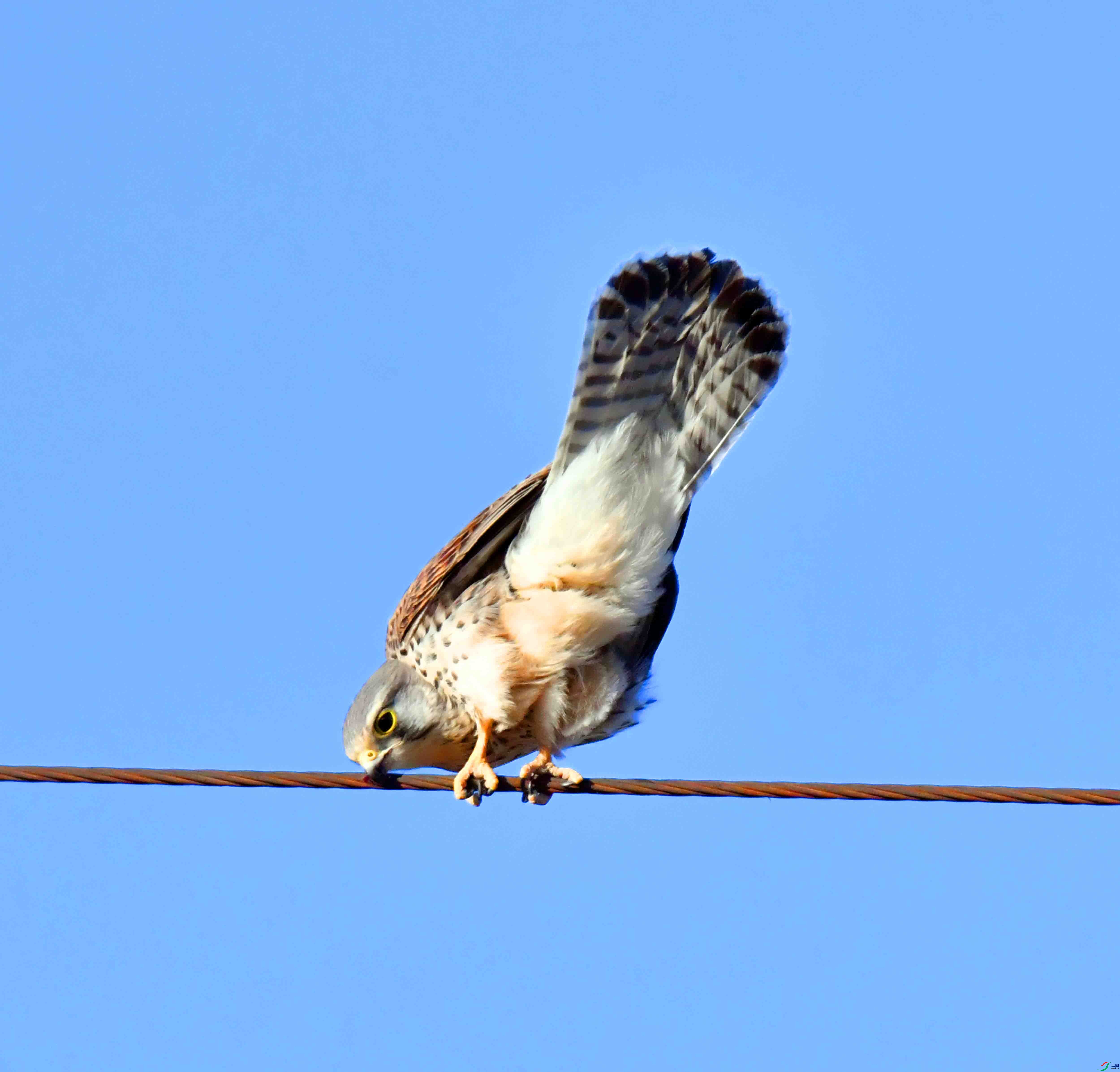 DSC_6843.JPG