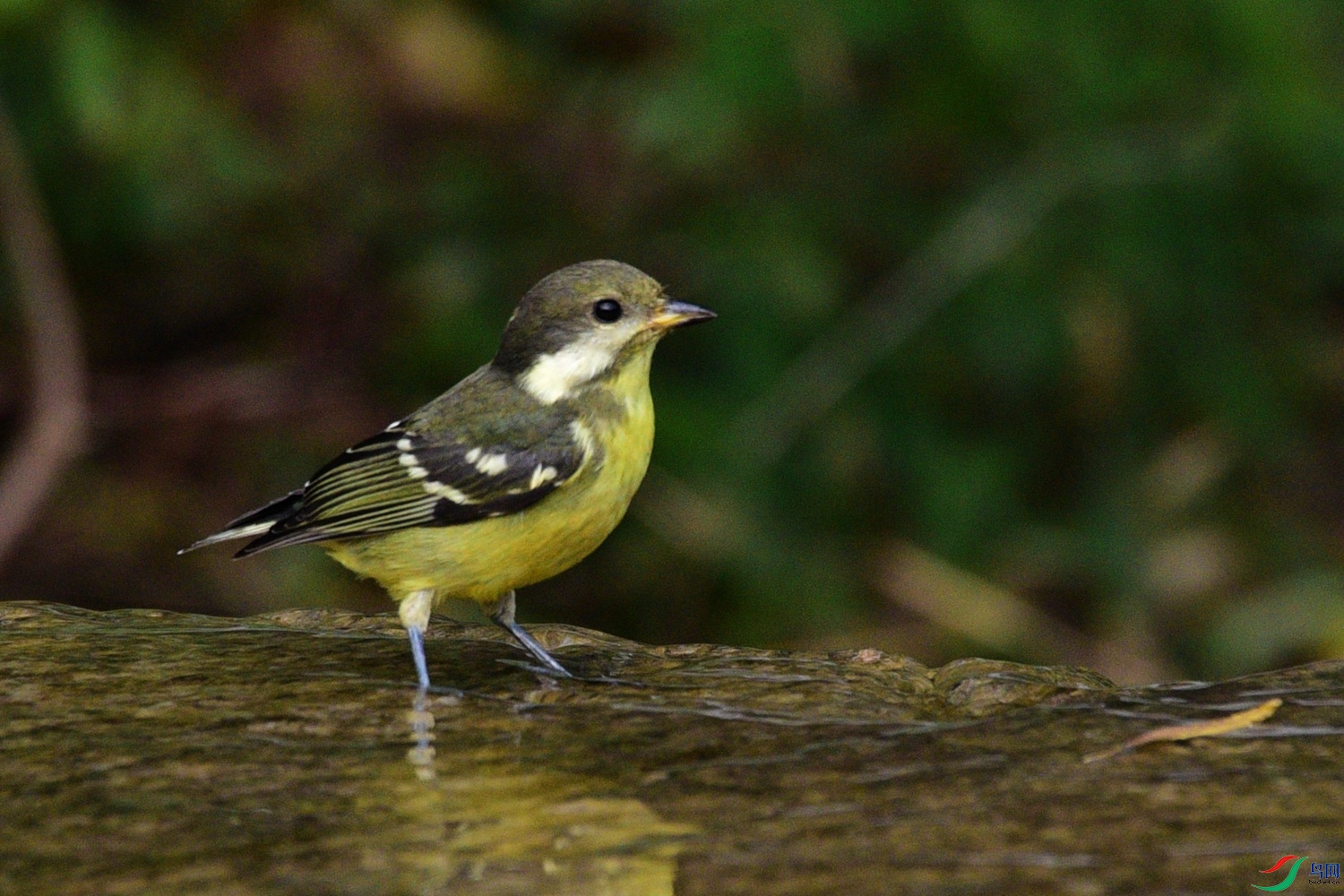 DSC_6479.JPG