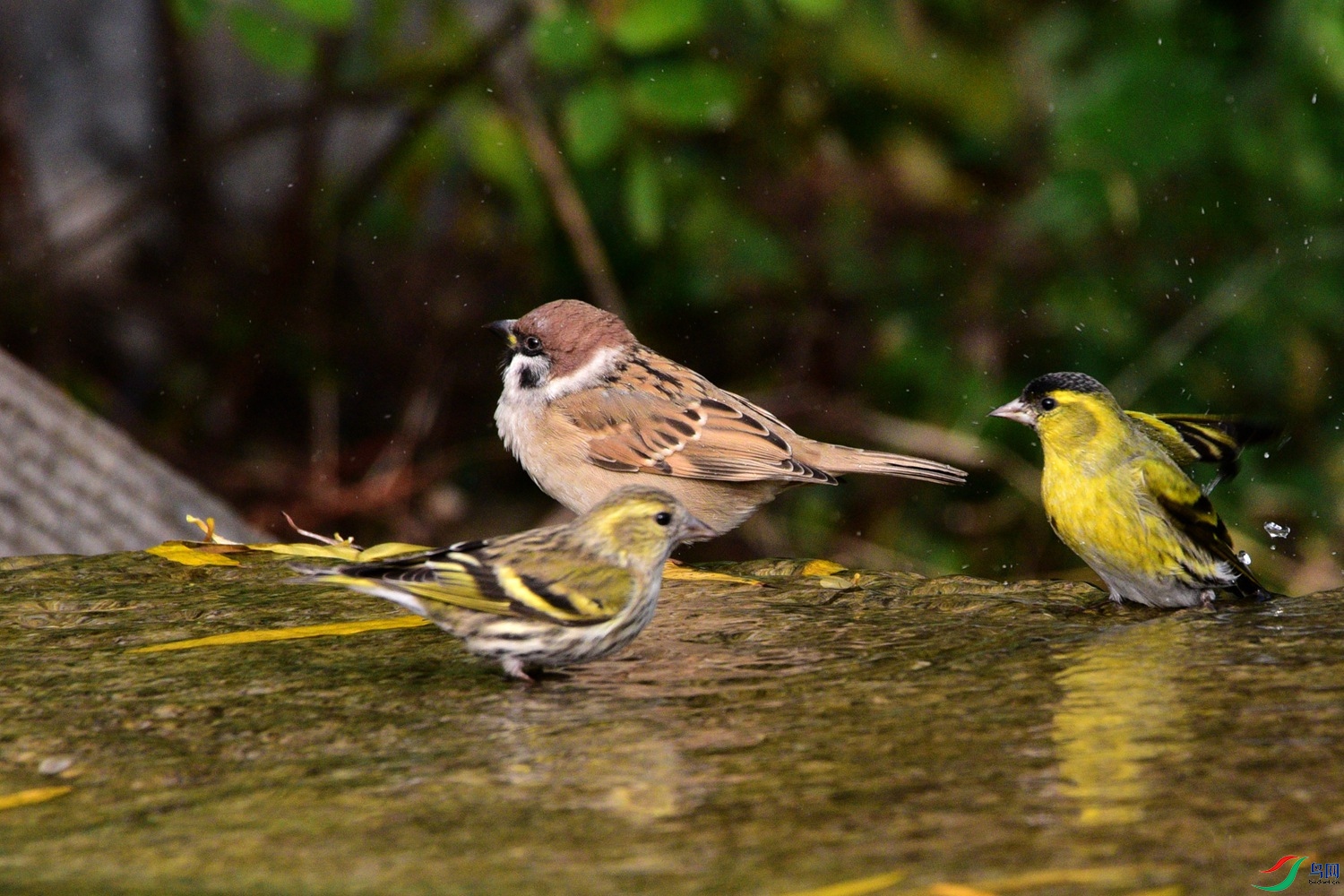 DSC_6342.JPG