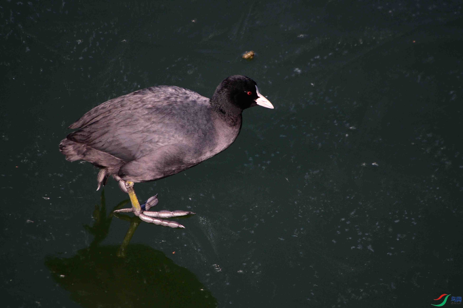 DSC_9585.JPG
