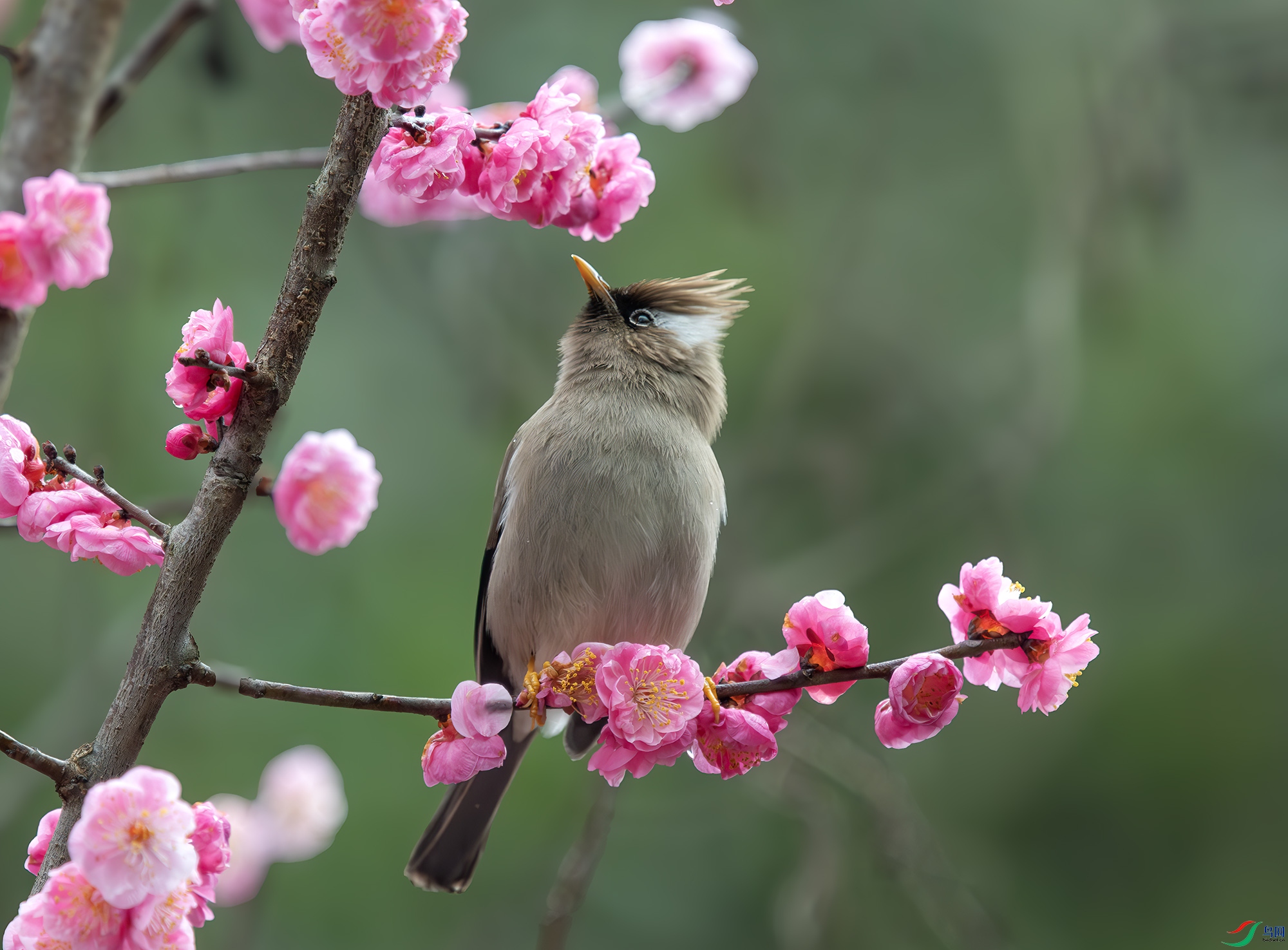 _Y211825-����ǿ-NR ����.jpg