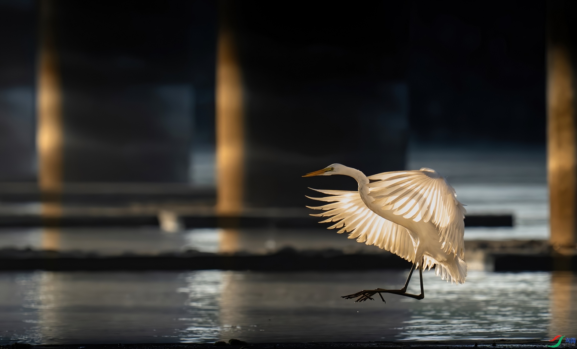 ��������-�������  ���� ³�Ĵ� ����.jpg