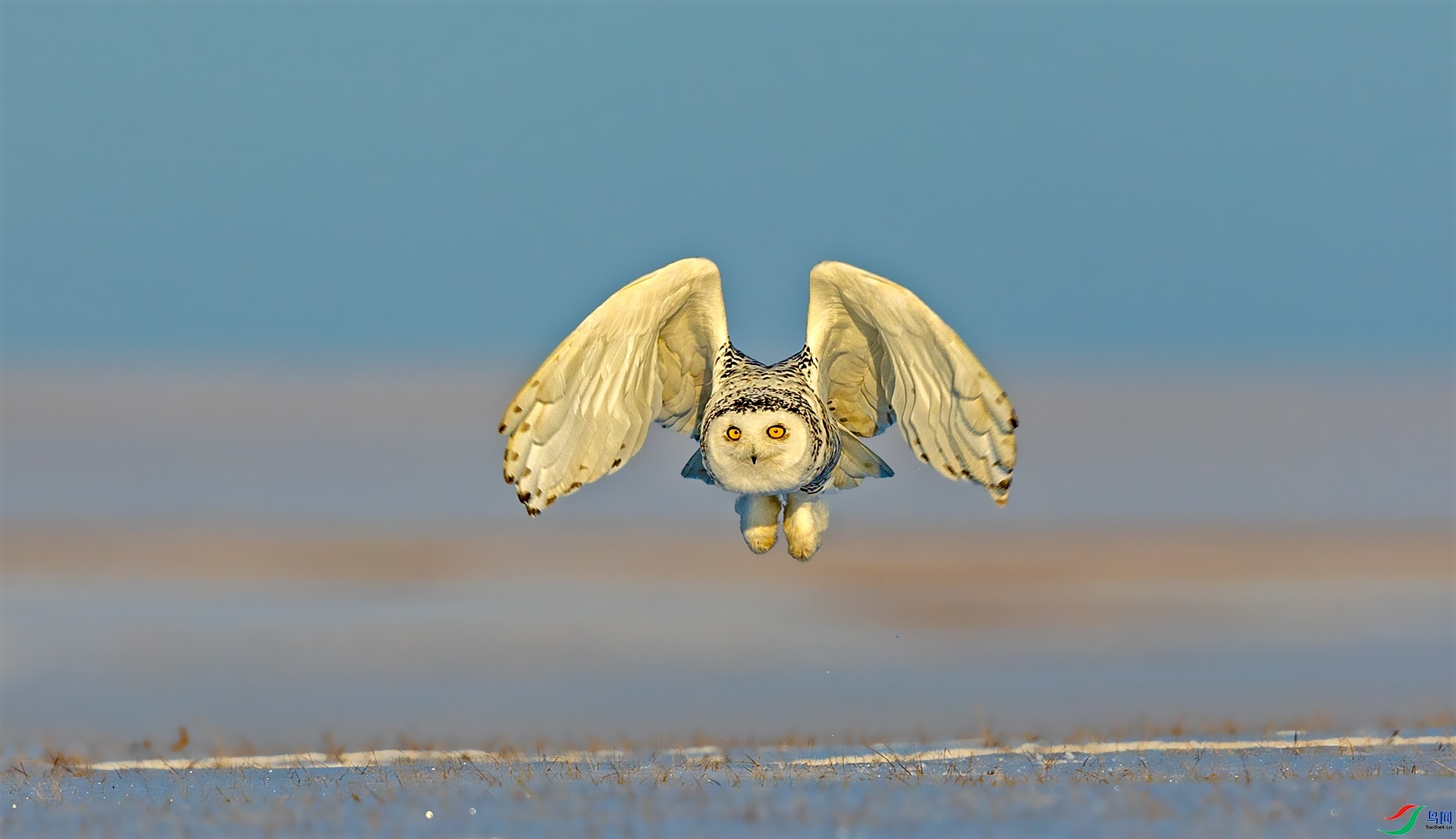 ӭ����� ���� ������� ����.jpg