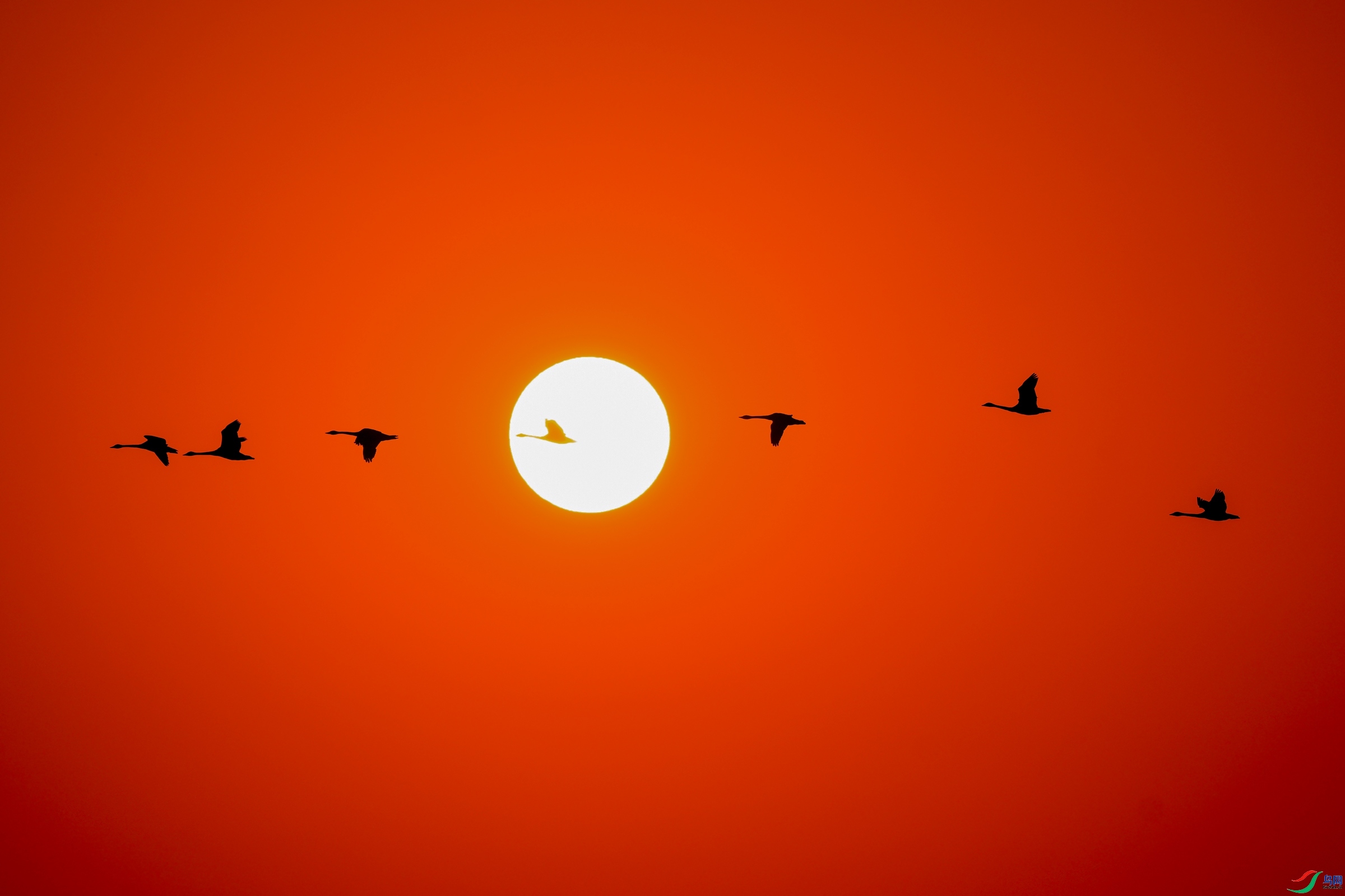 �ճ� ���� �չ�����-����  ����.jpg