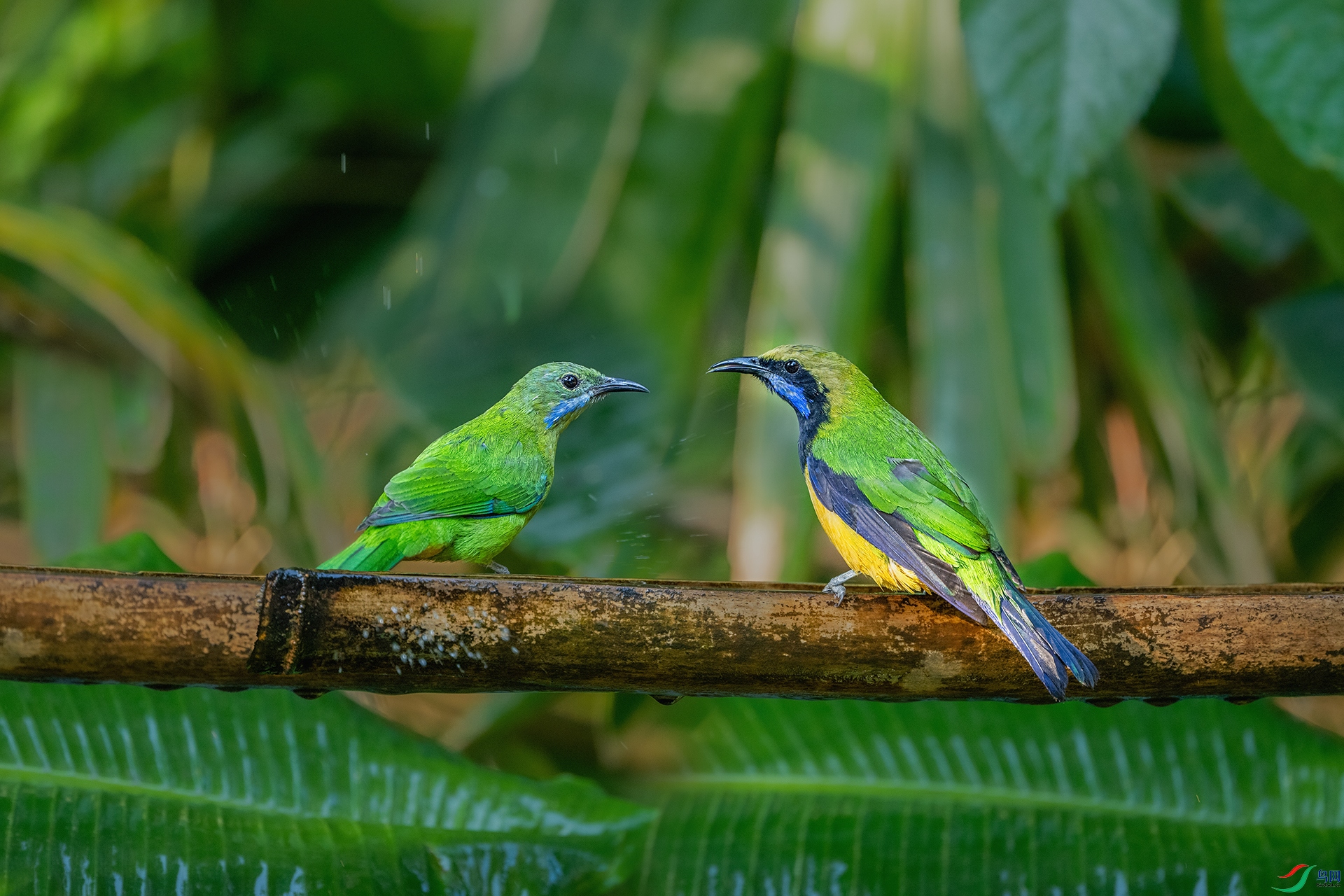 _DSC6002 ����.jpg