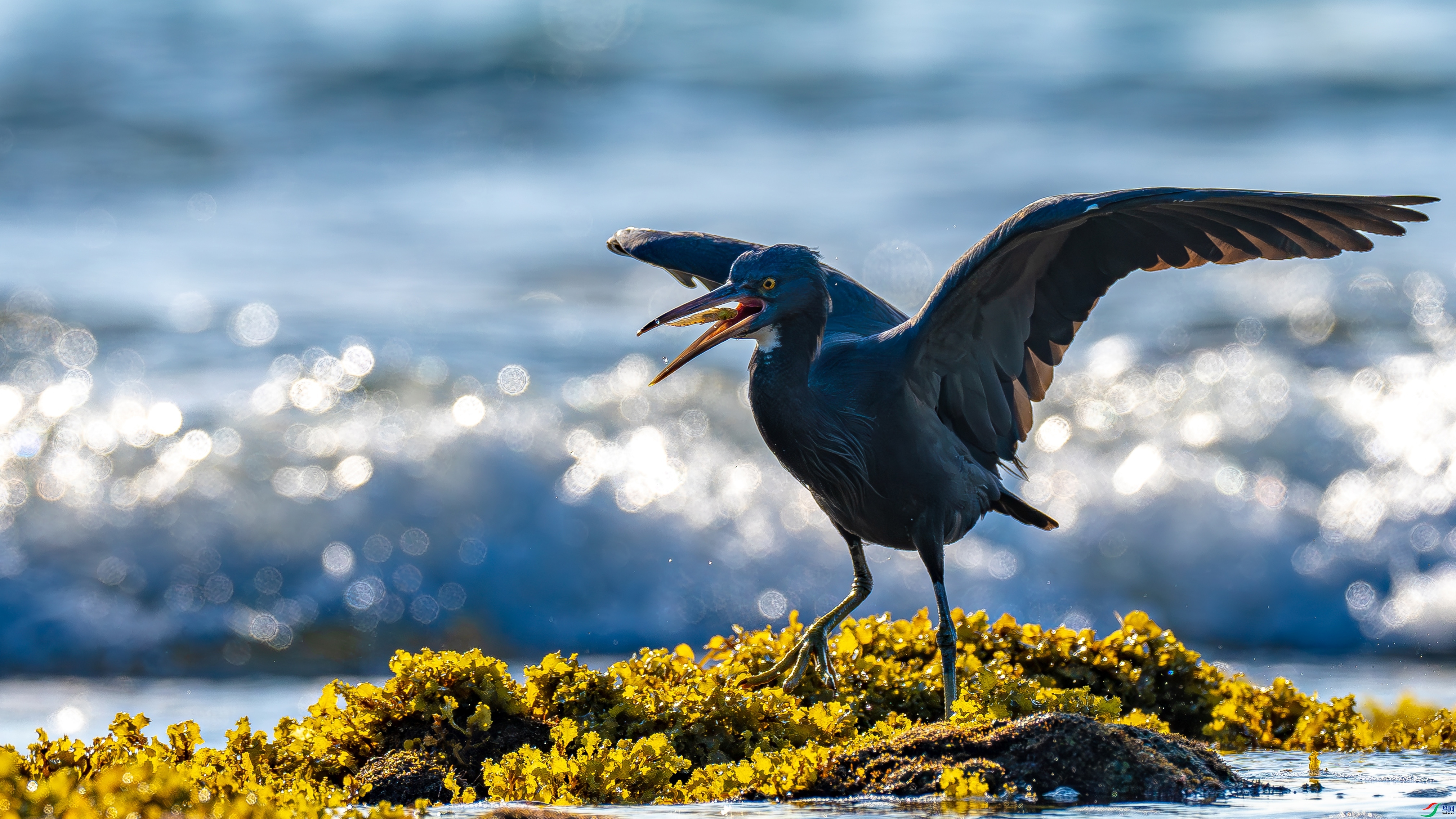 ����  ���� ������ ����.jpg