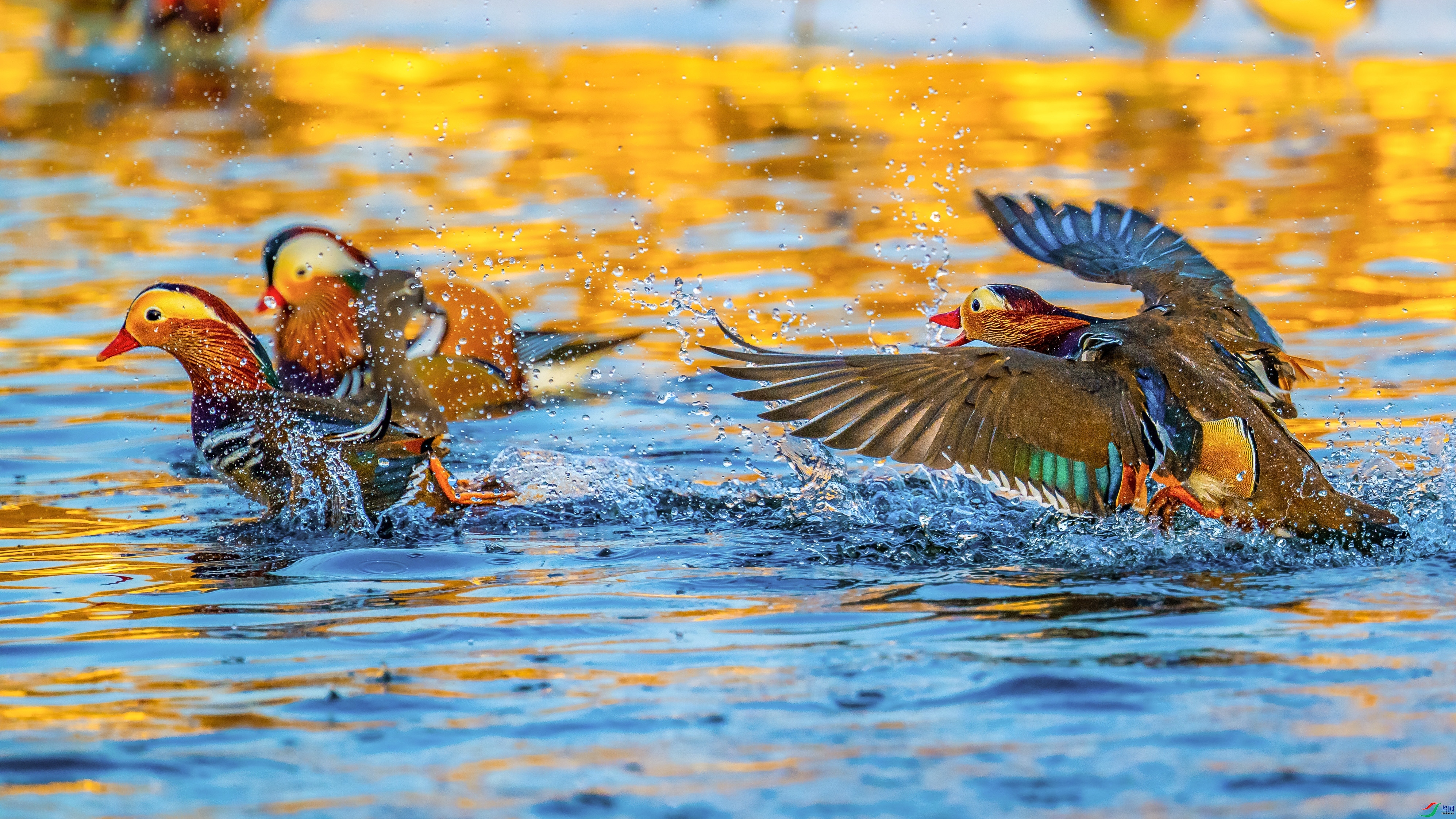 ������ ���� ��������bj  ����.jpg