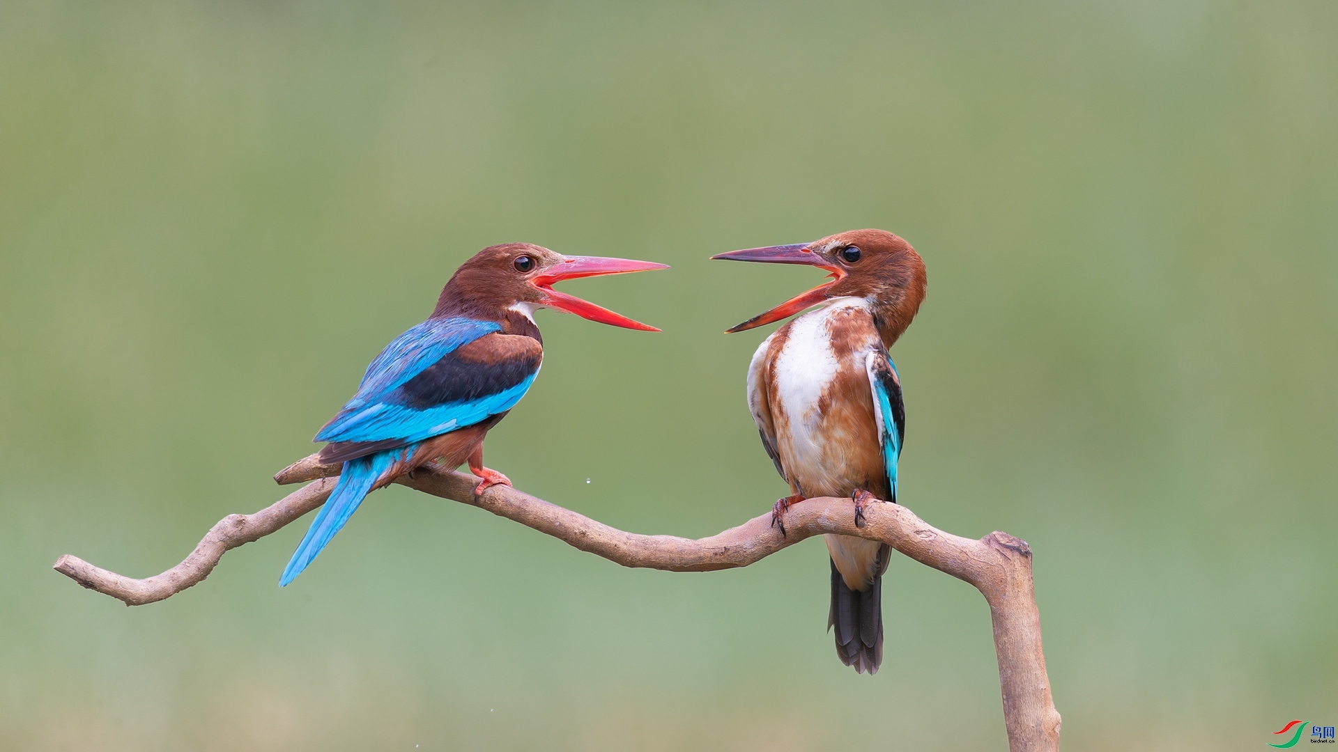 һ��һ��  ���� Դ����Ȼ ����.jpg