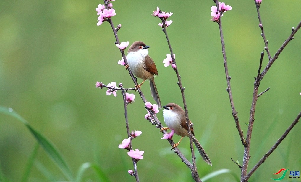 �������� ���� ����  ����.jpg