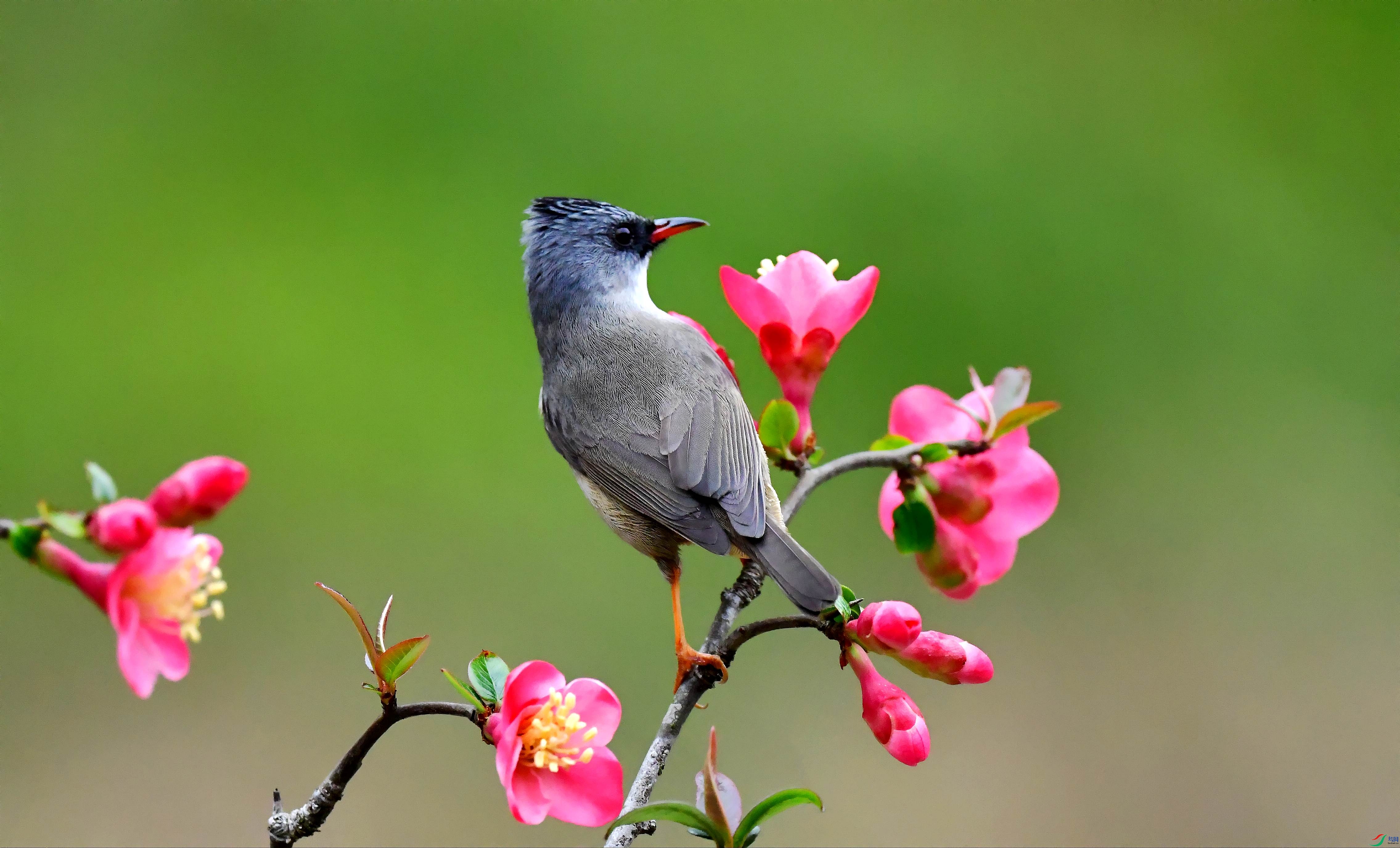 DSC_3753_conew5.jpg