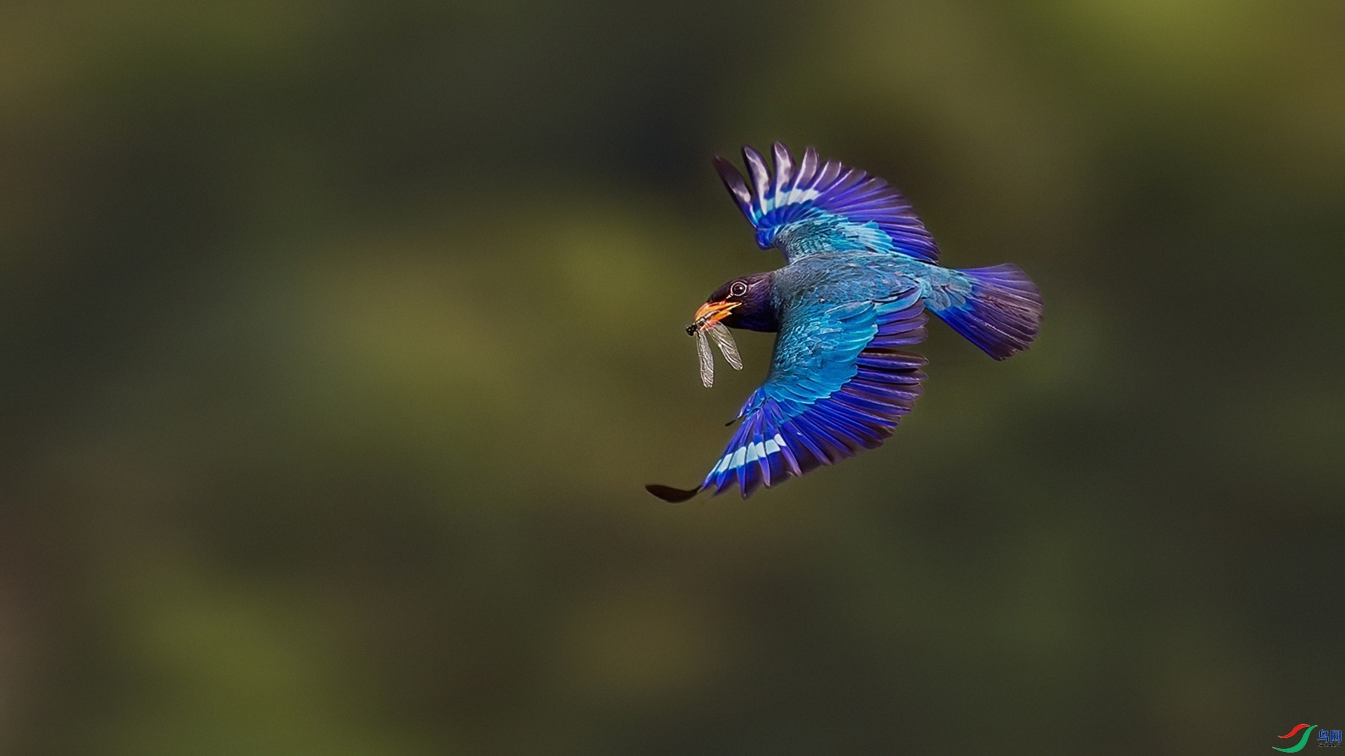 �������� ���� Դ����Ȼ ����.jpg