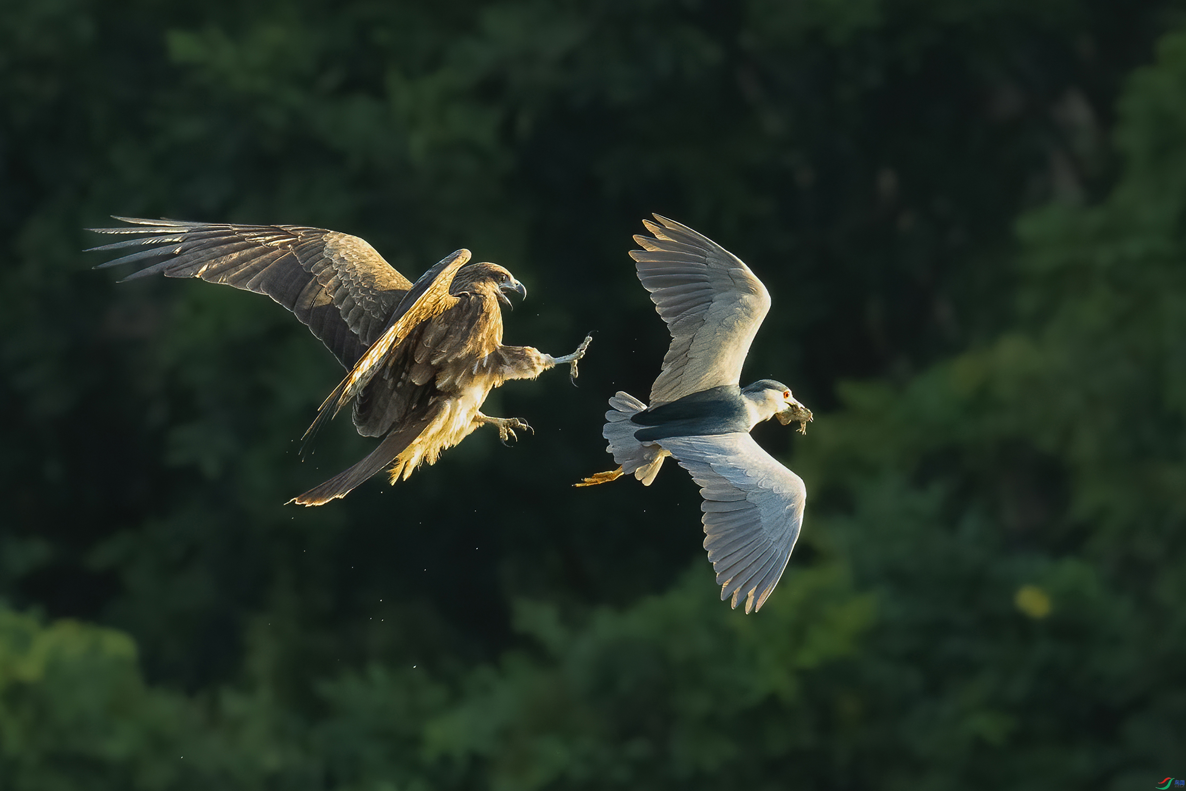 ���� ���� ����· ����.jpg