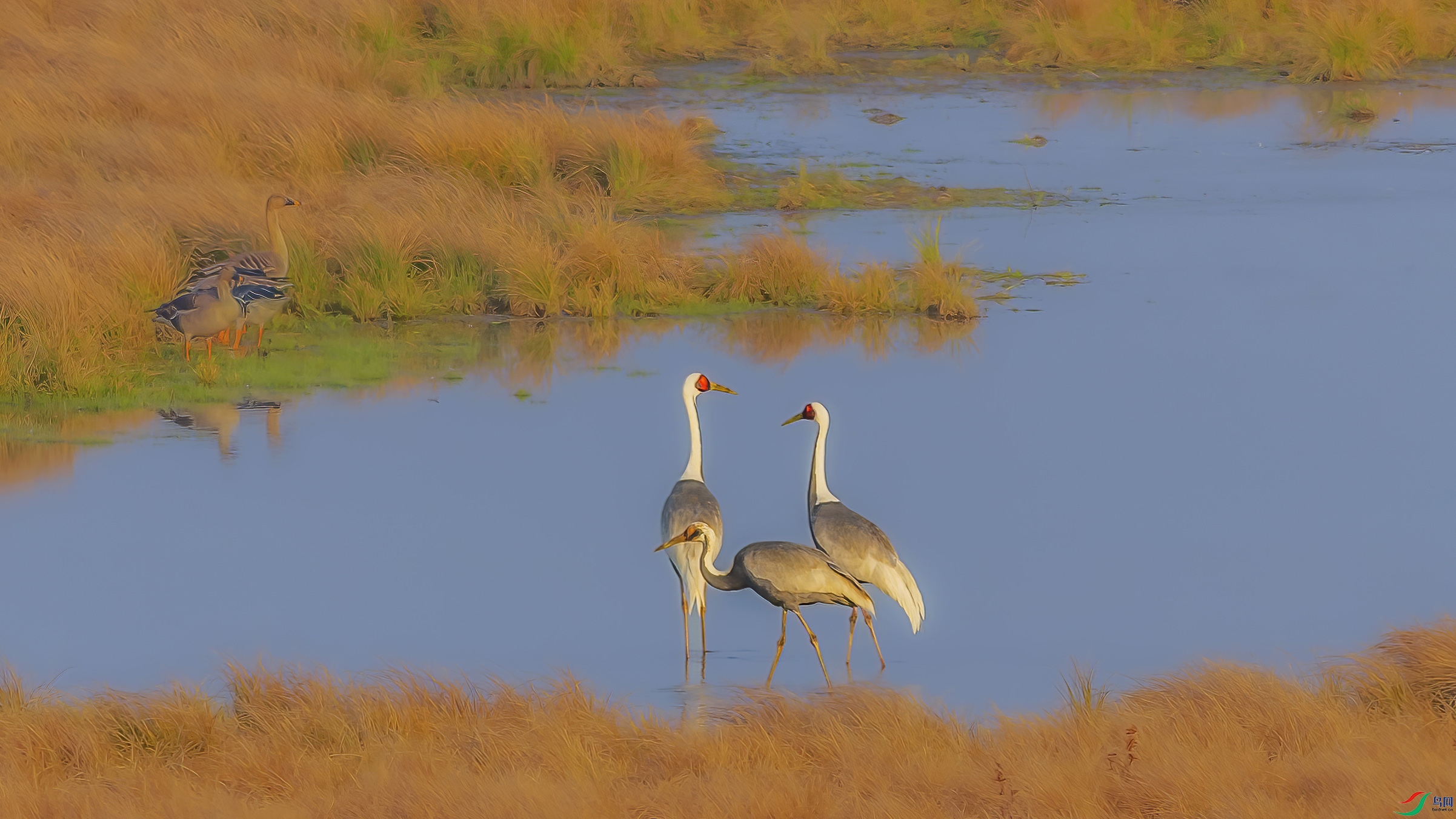 G81A4658 ����.jpg