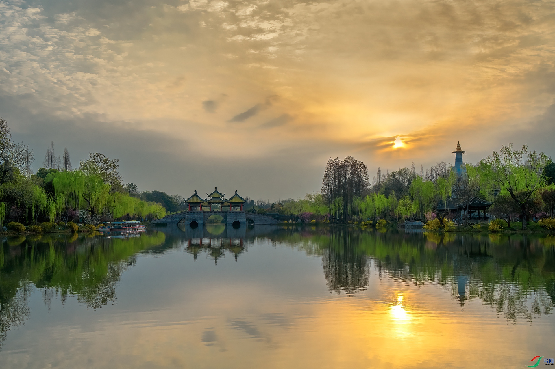 DSC_2495 - �ž���������.jpg