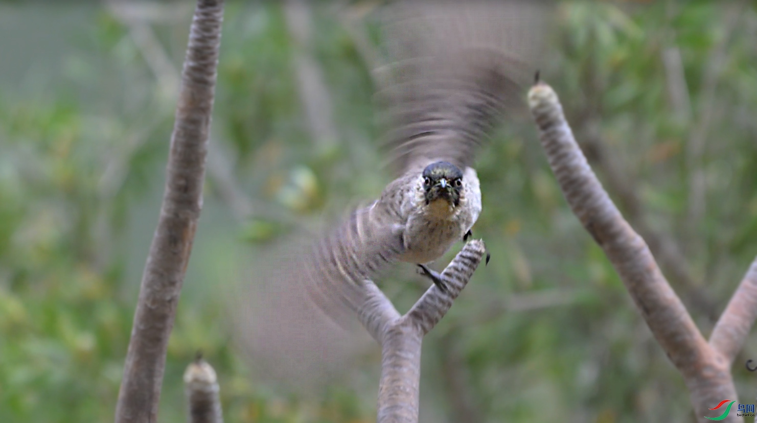 {71F2BCA9-B7AD-46D8-AE26-521353ED6BDE} ����.jpg