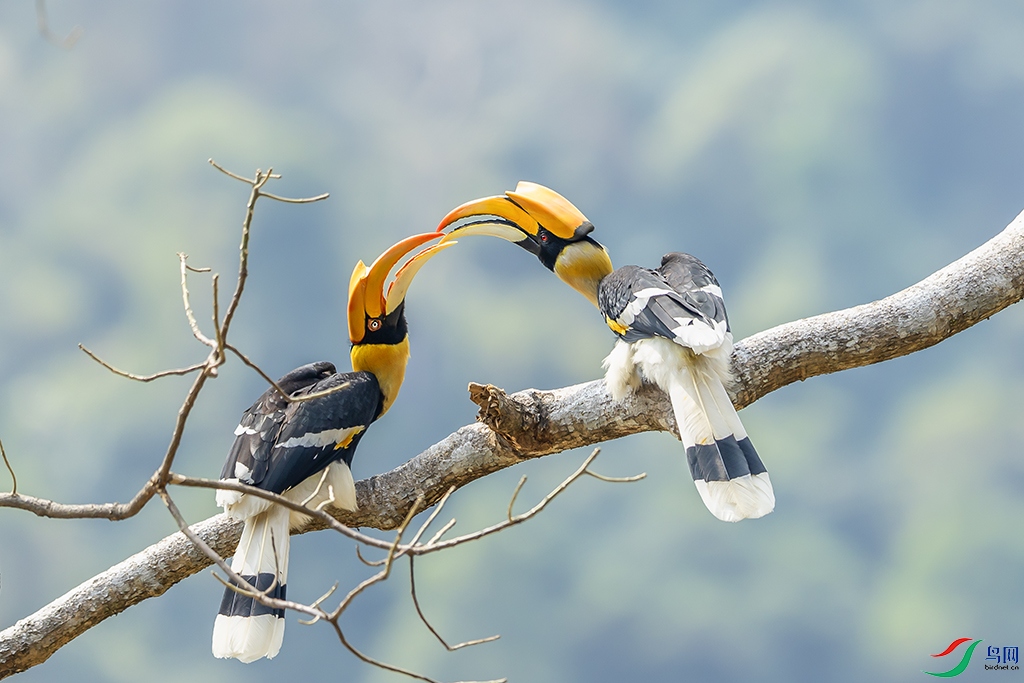 0F7A5049 ����.jpg