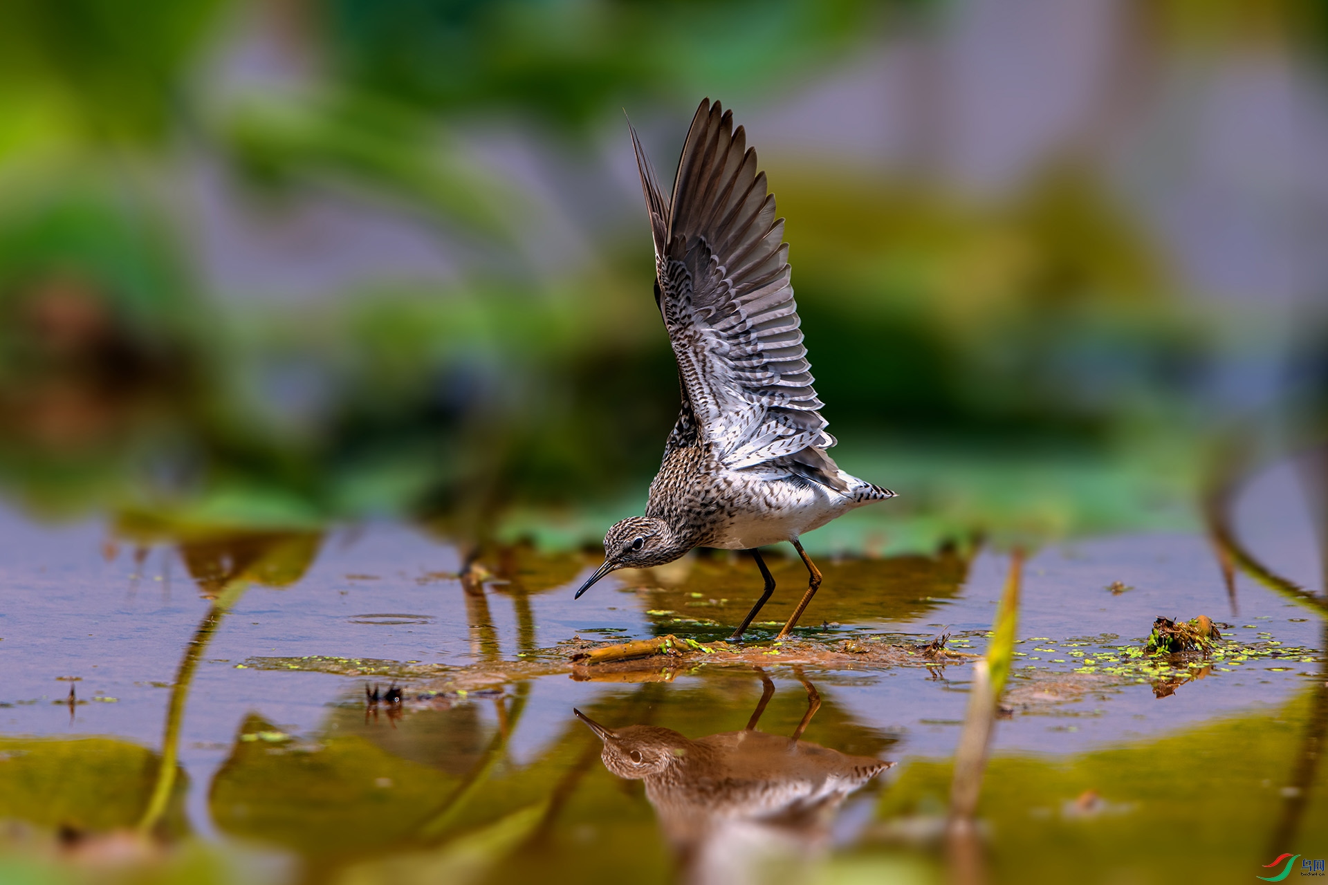 _AUU3973����(24.5.12).jpg