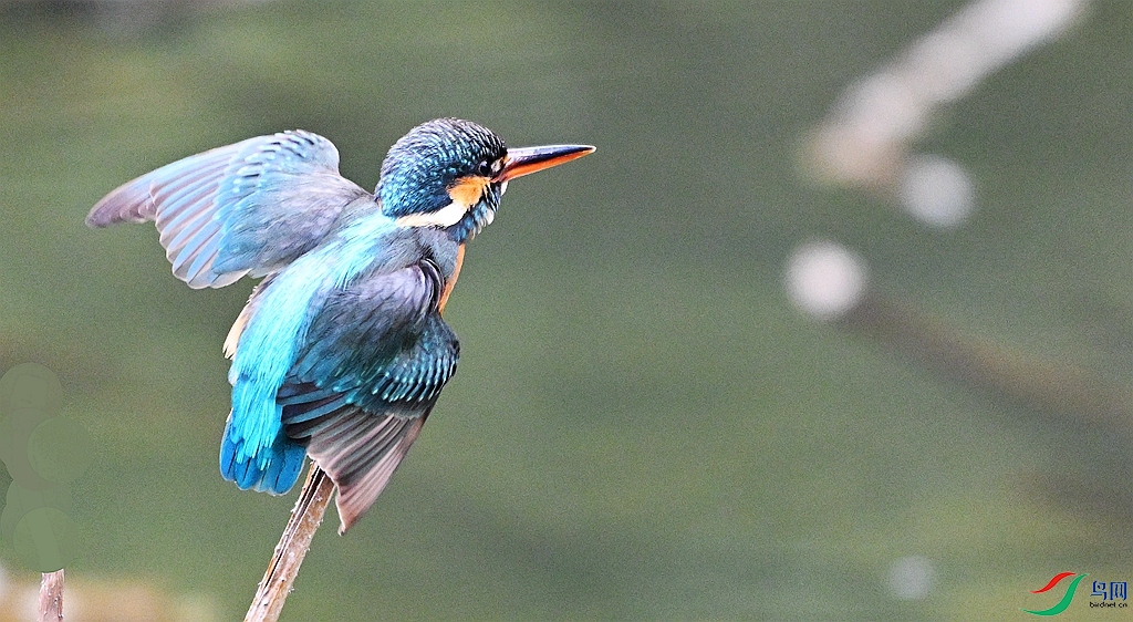 DSC_7400.JPG