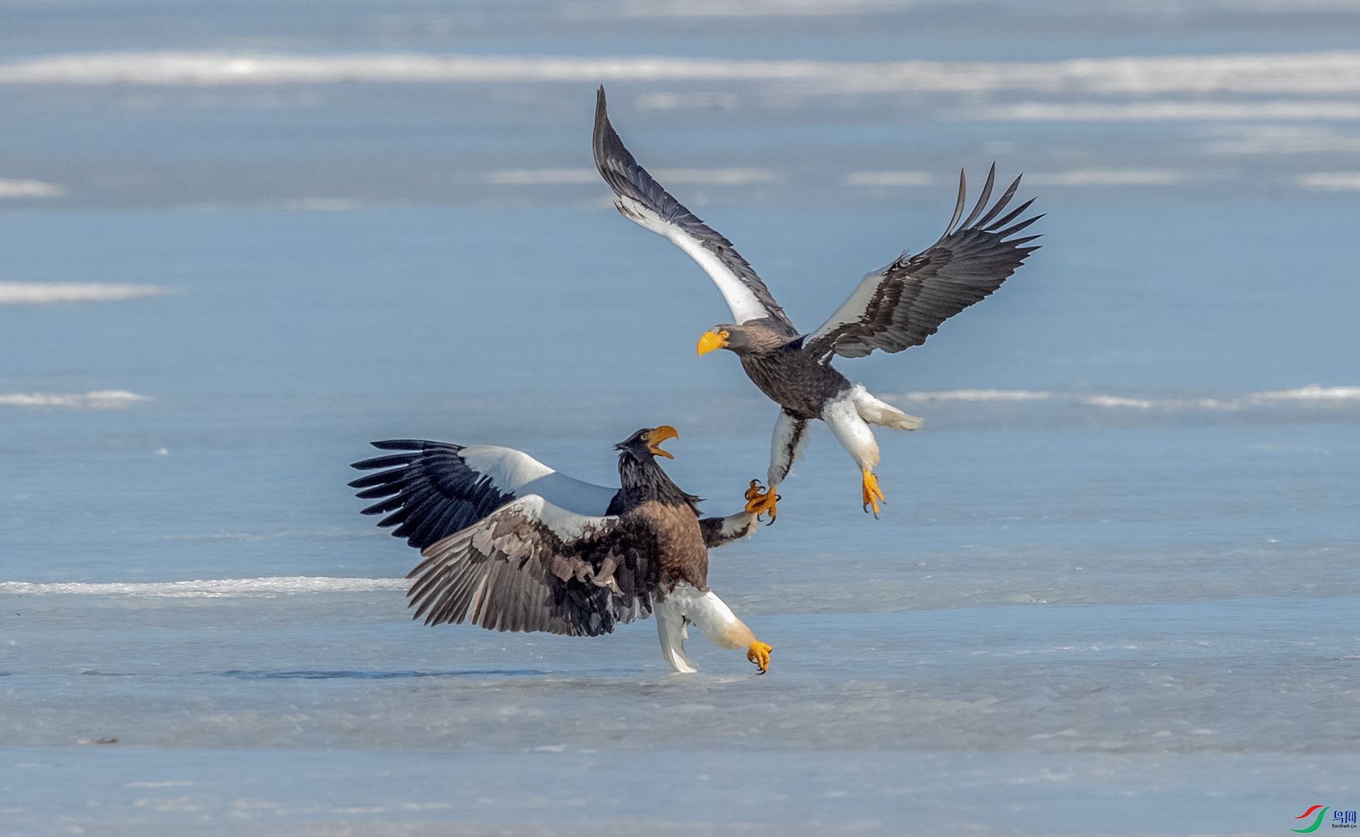 AK8I9902����  �����Ժ� 03.jpg