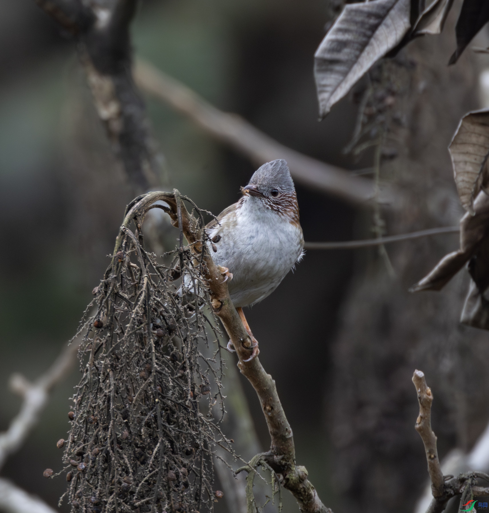 2I1A7985-����ǿ-NR ����.jpg