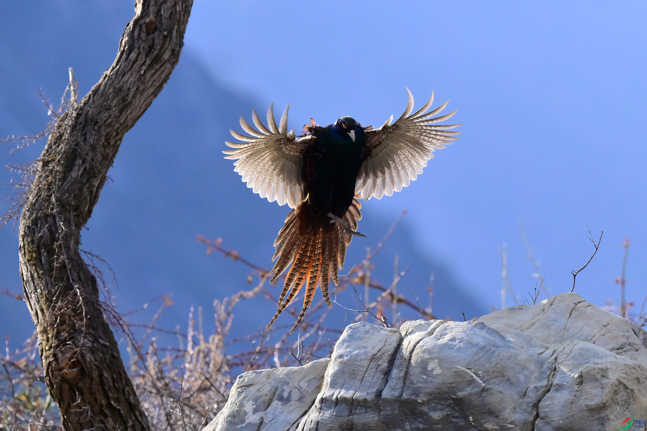 _DSC3896x.jpg