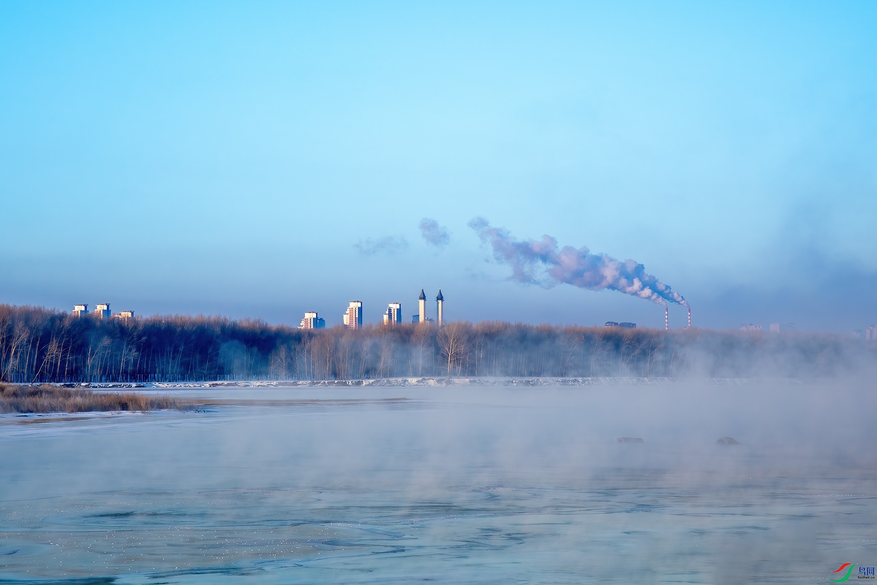 1Y0A6896 ����.jpg