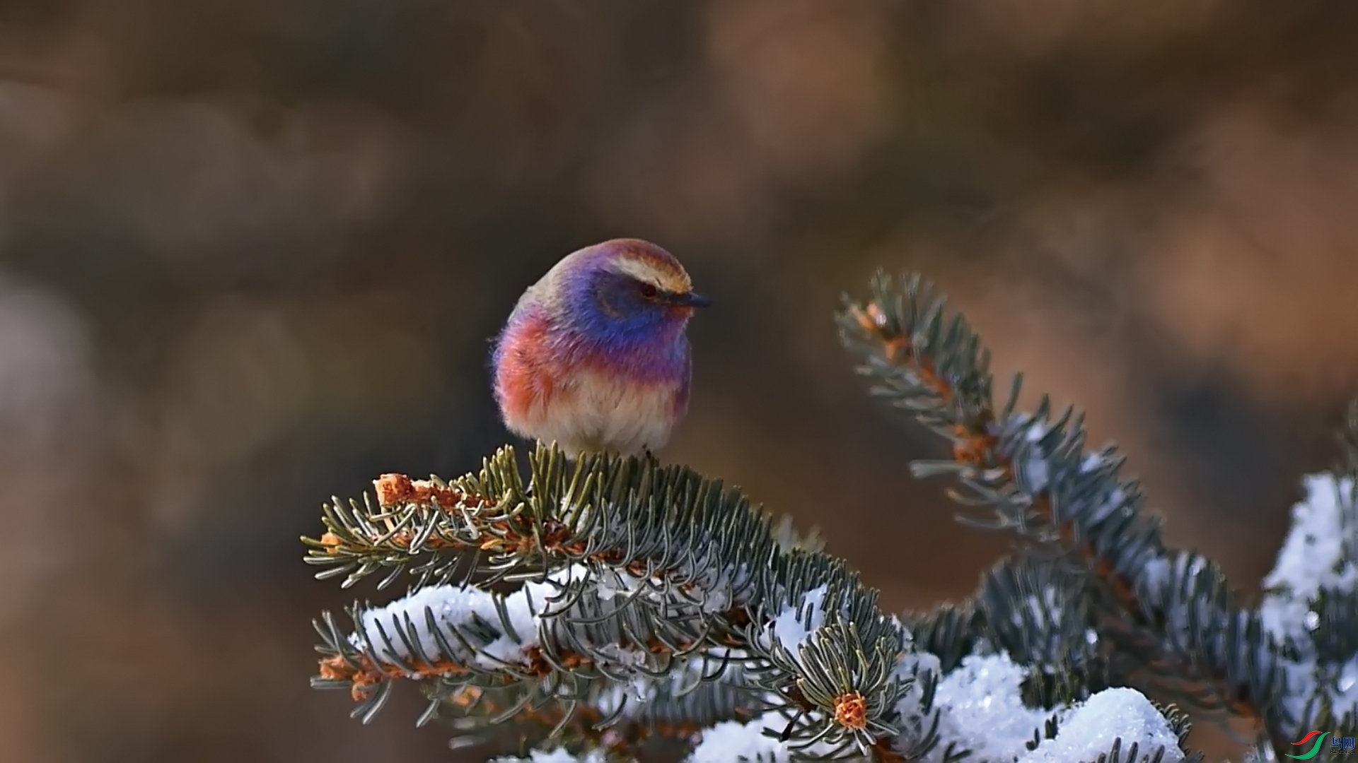 ����ȸݺ13.jpg