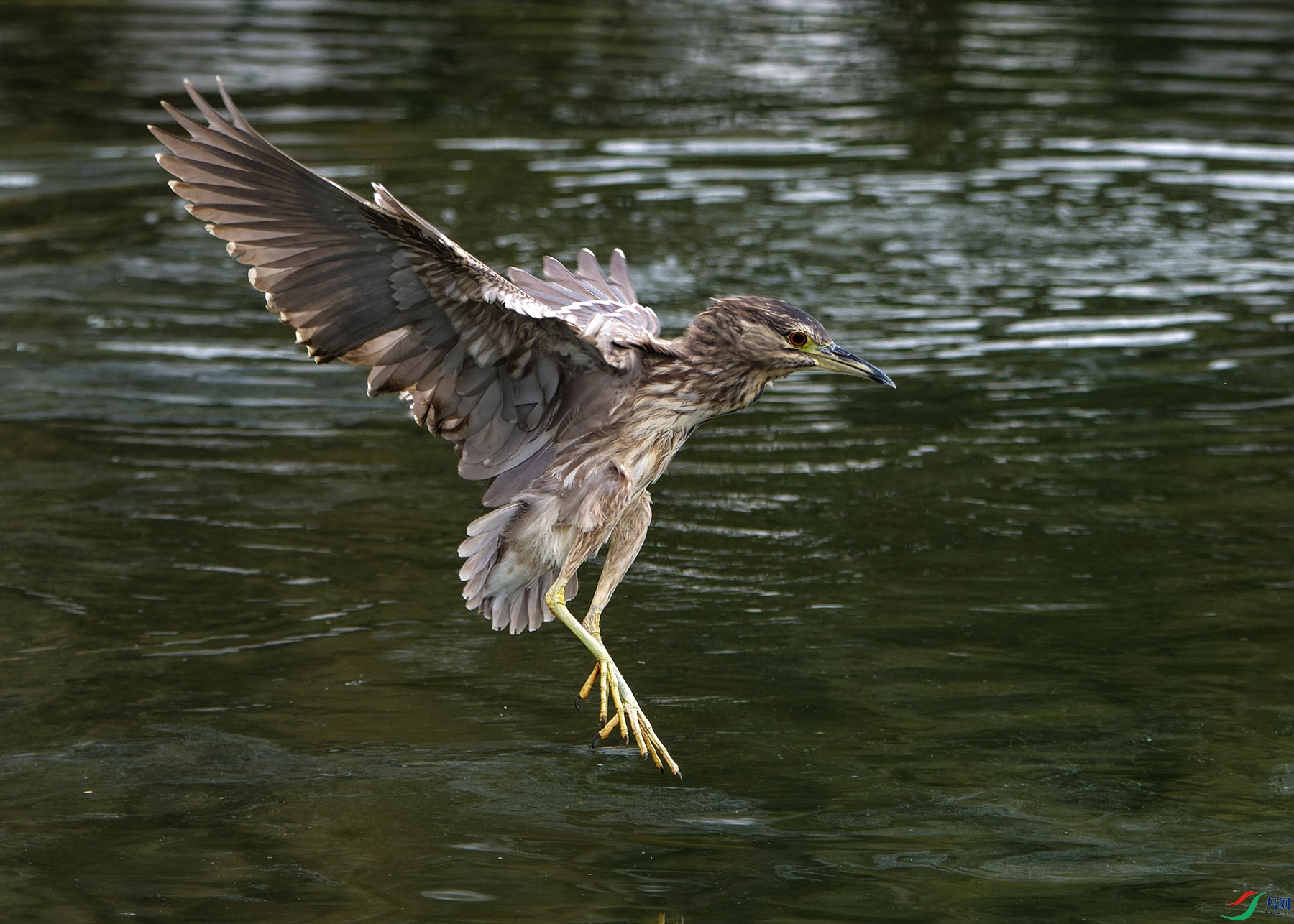 DSC_6386.jpg