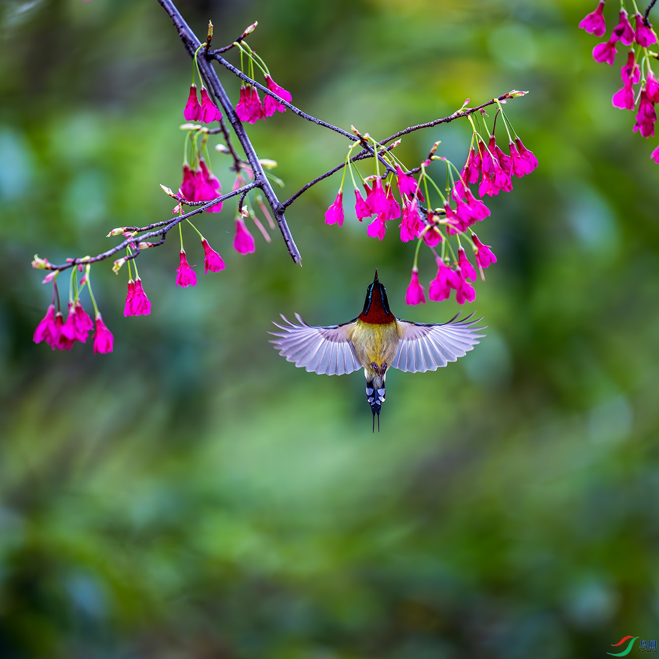 DSC_0981-����ǿ-NR ���� 3.jpg