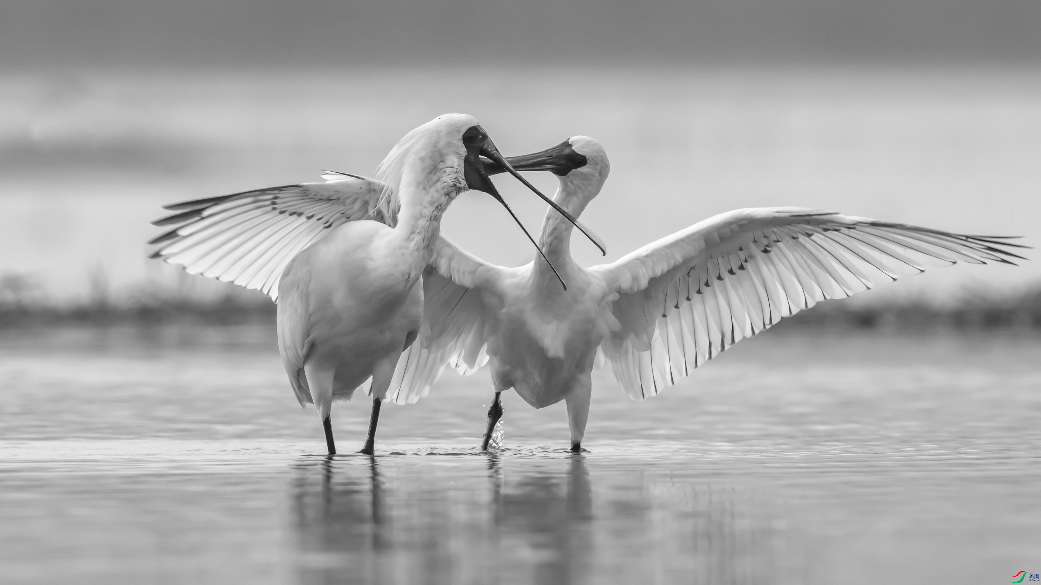 12_6381 ����.jpg