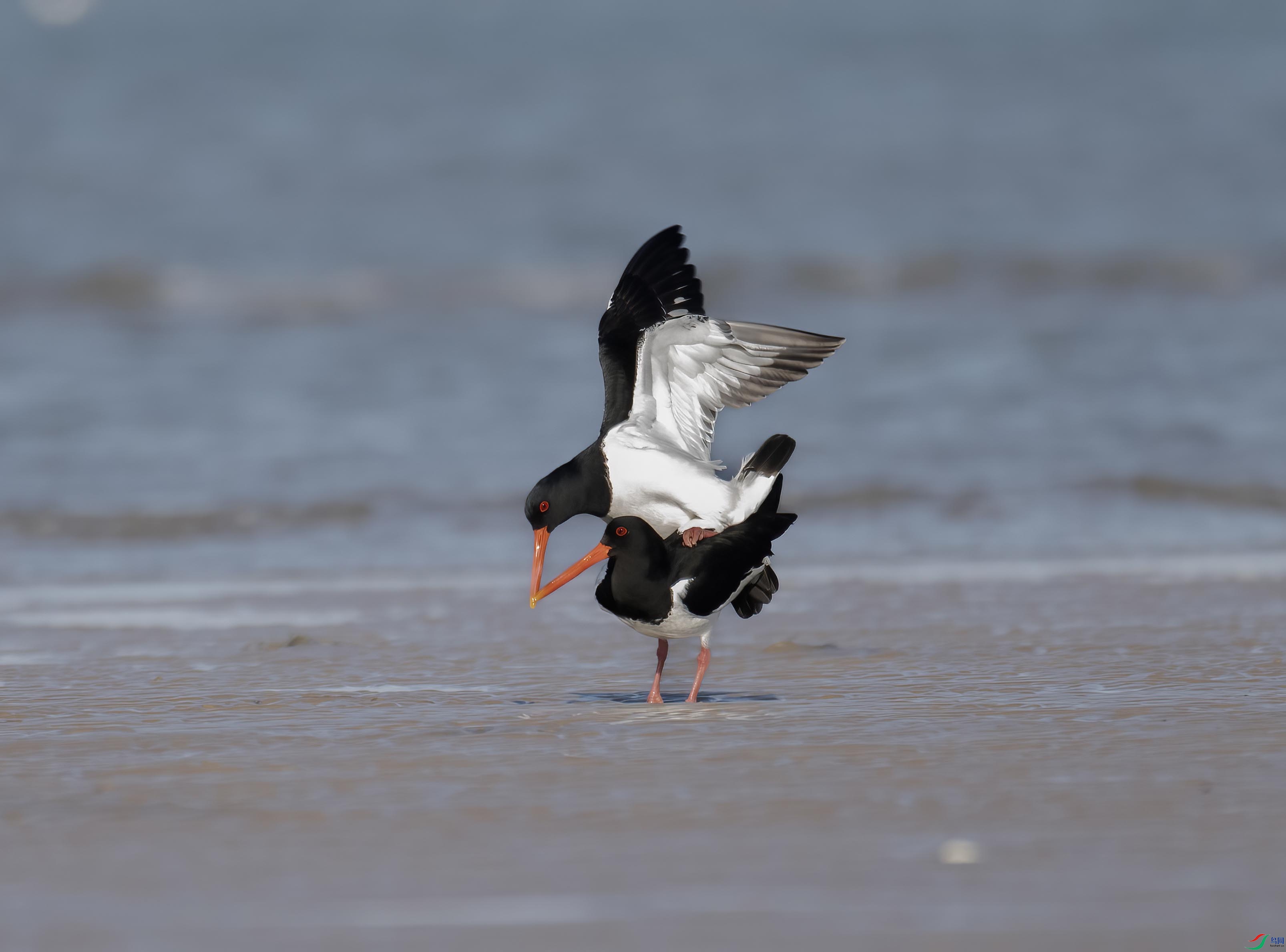 DSC_4901 ���� 2.jpg