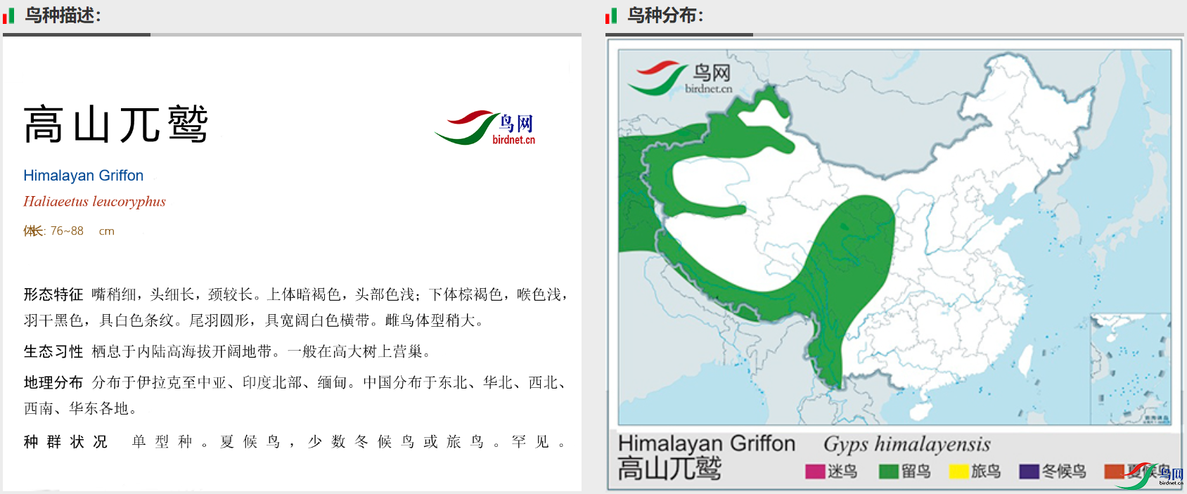 d87371b3f618bb4a656210d84d82cae.png