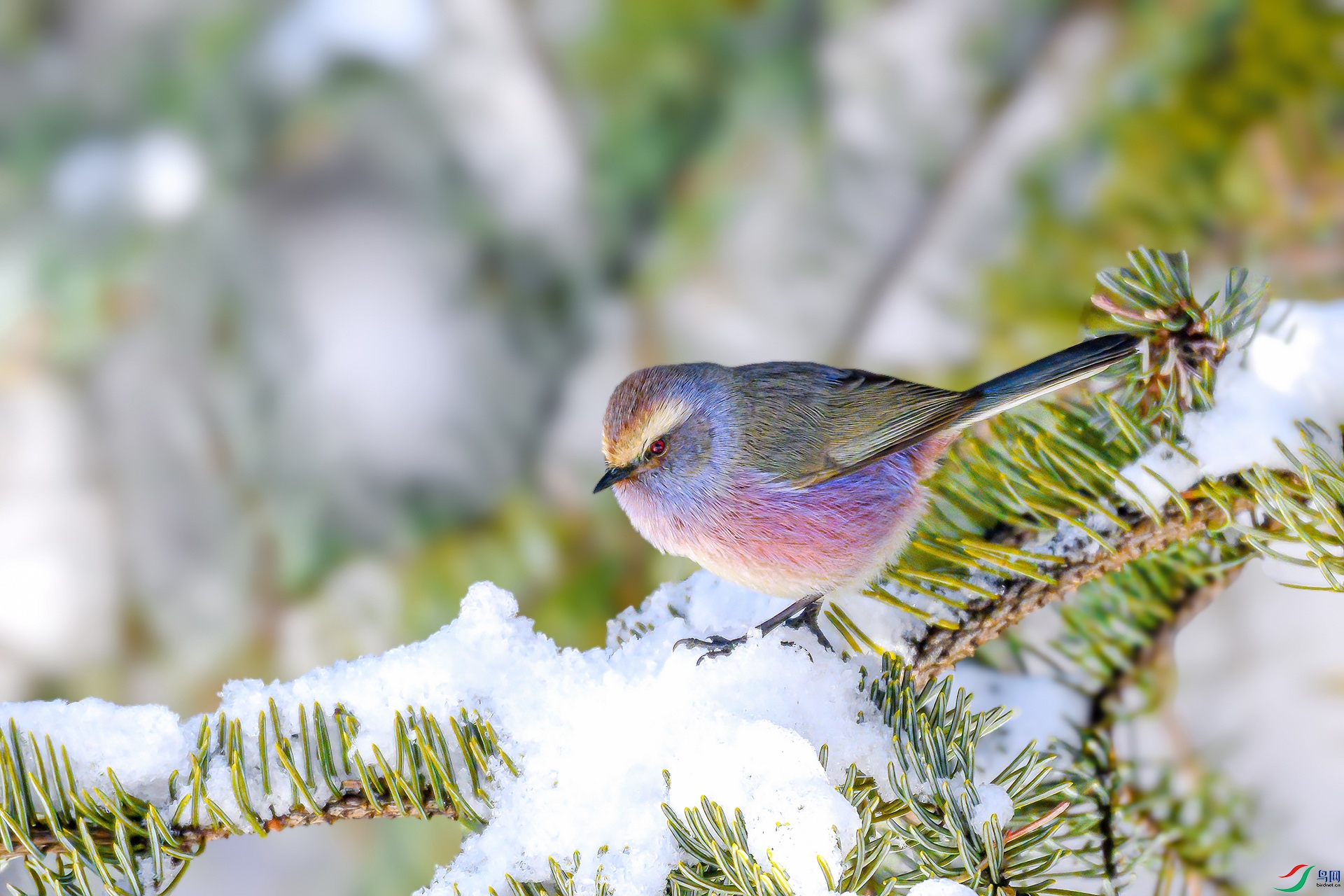 DSC_3867.jpg