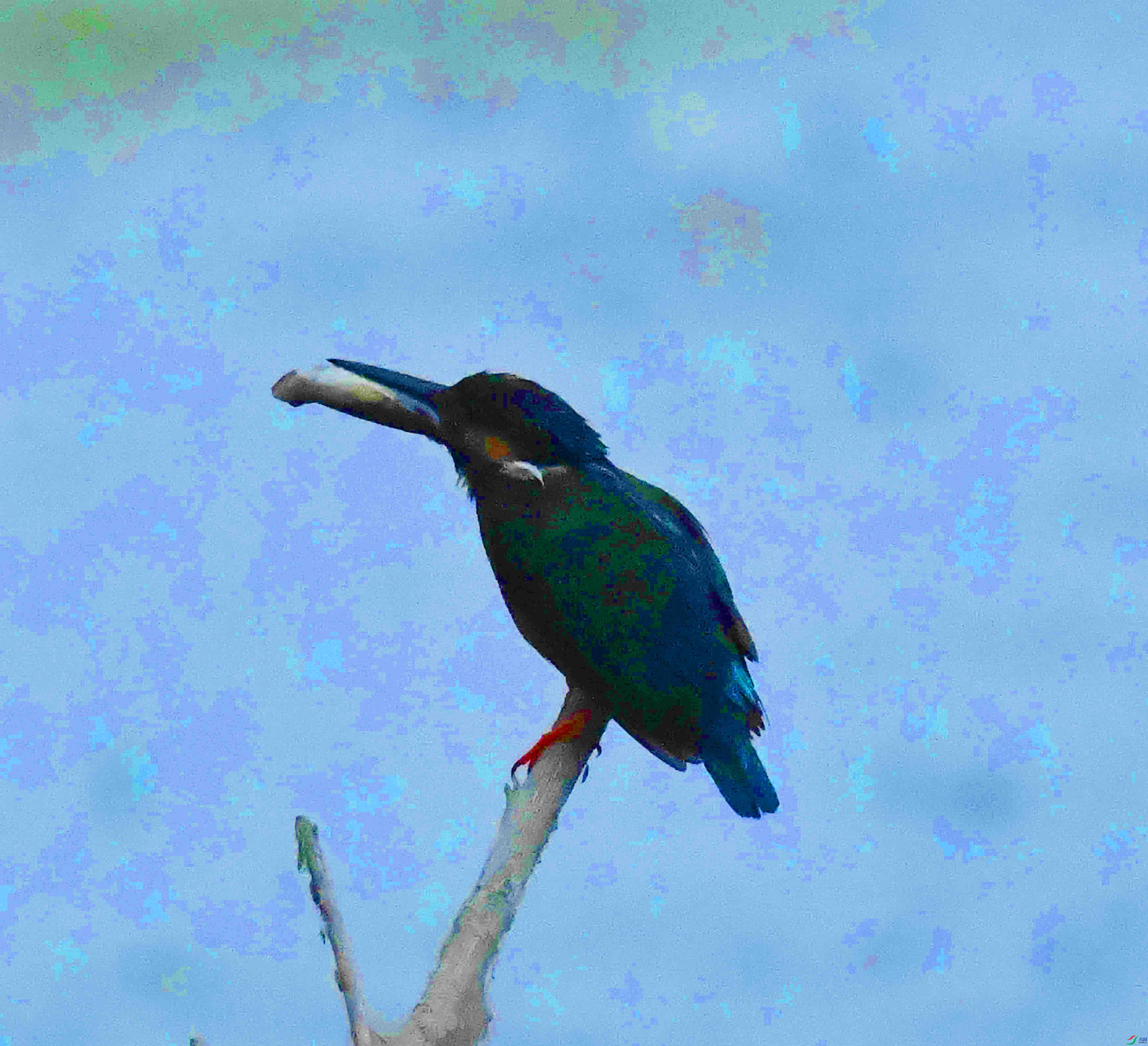 DSC_9670.JPG