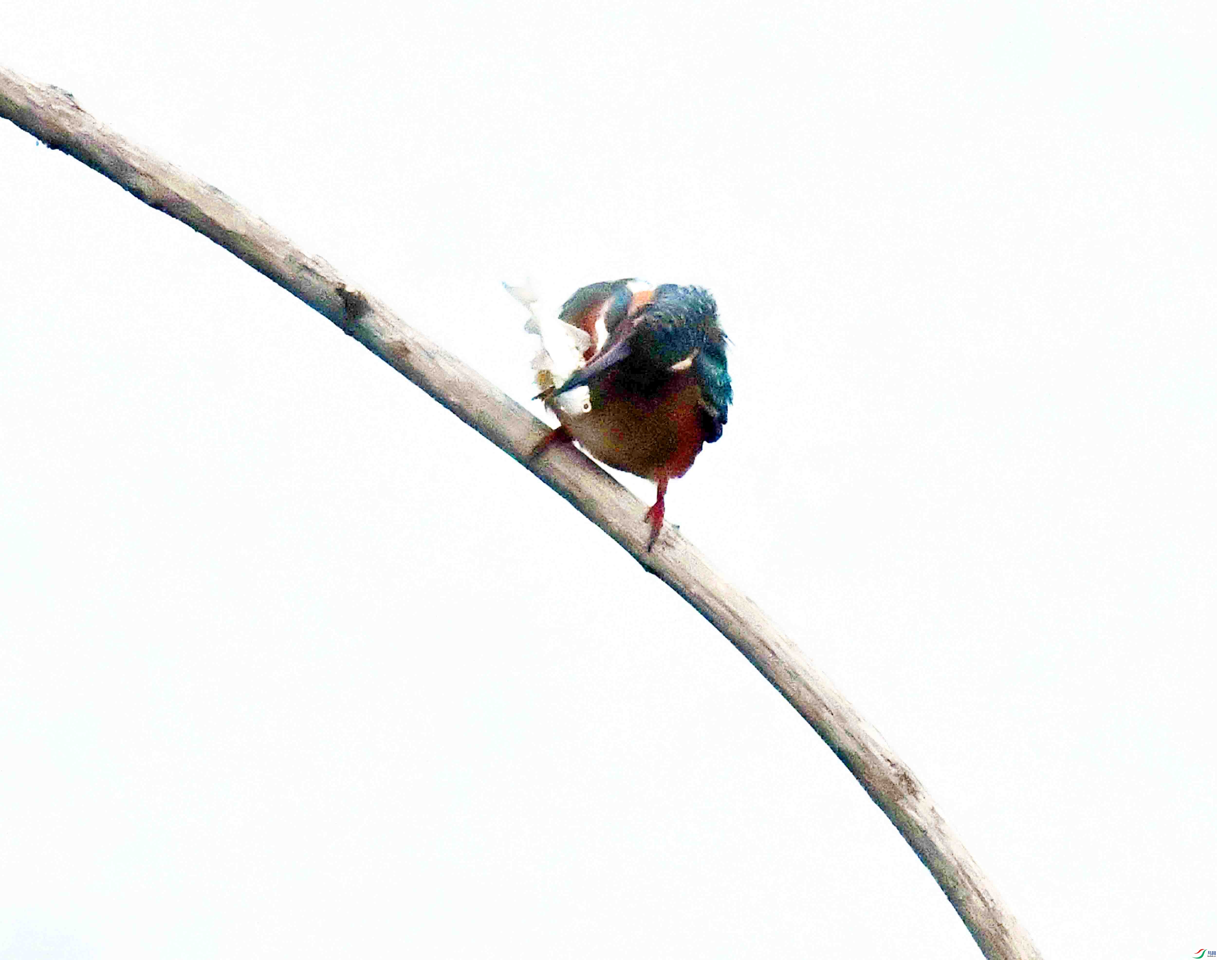 DSC_9737.JPG