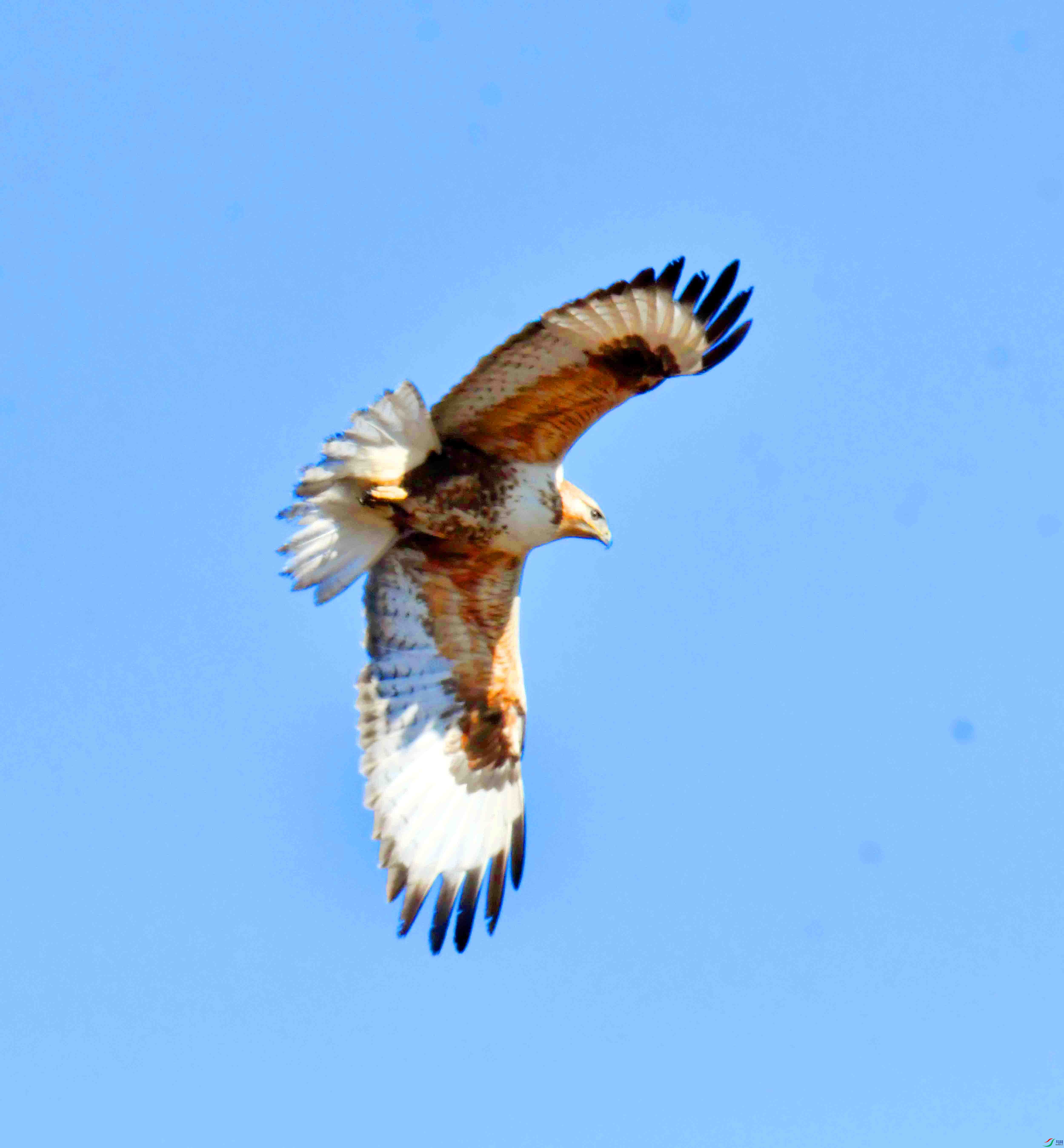 DSC_5157.JPG