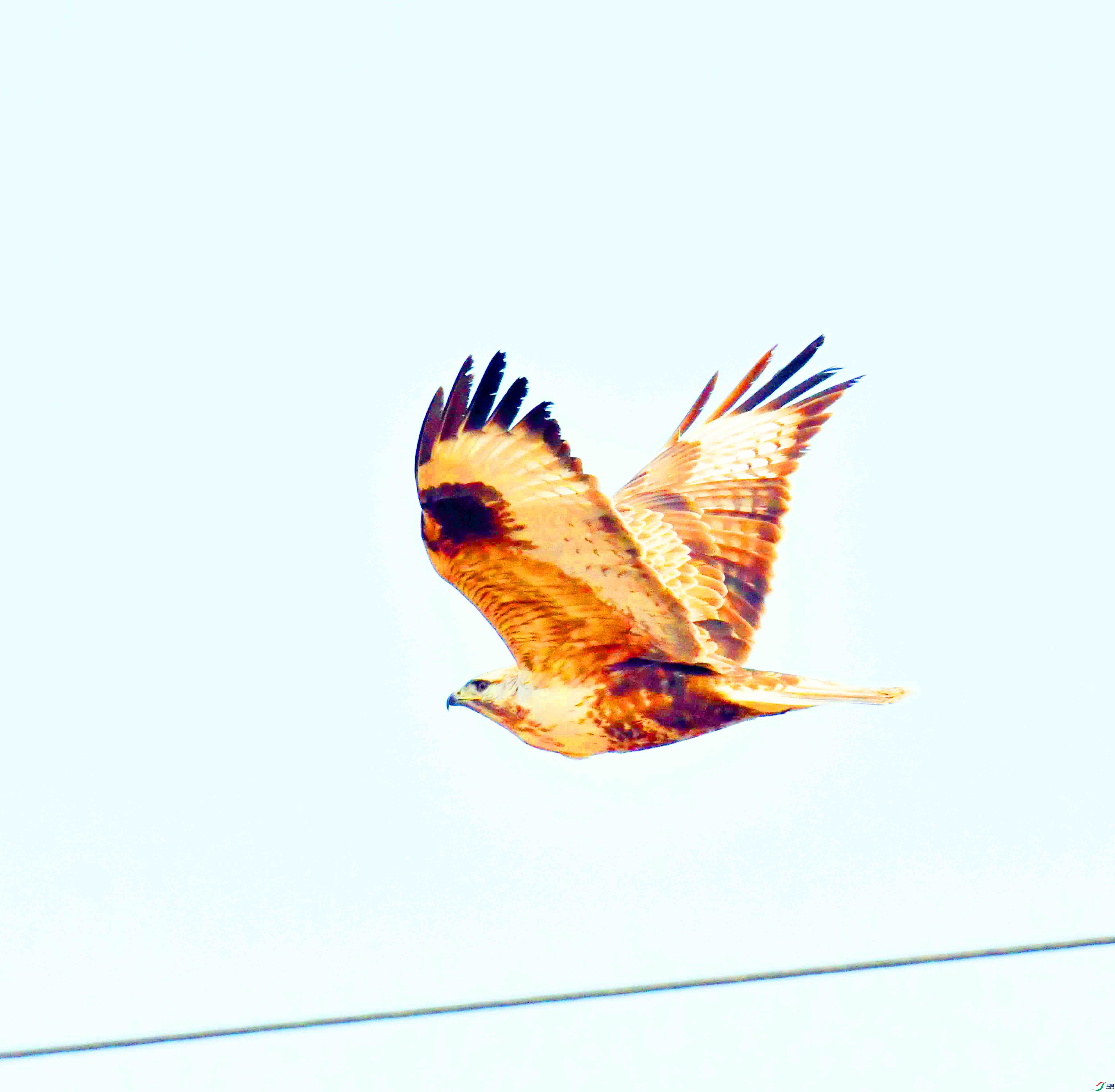 DSC_5901.JPG