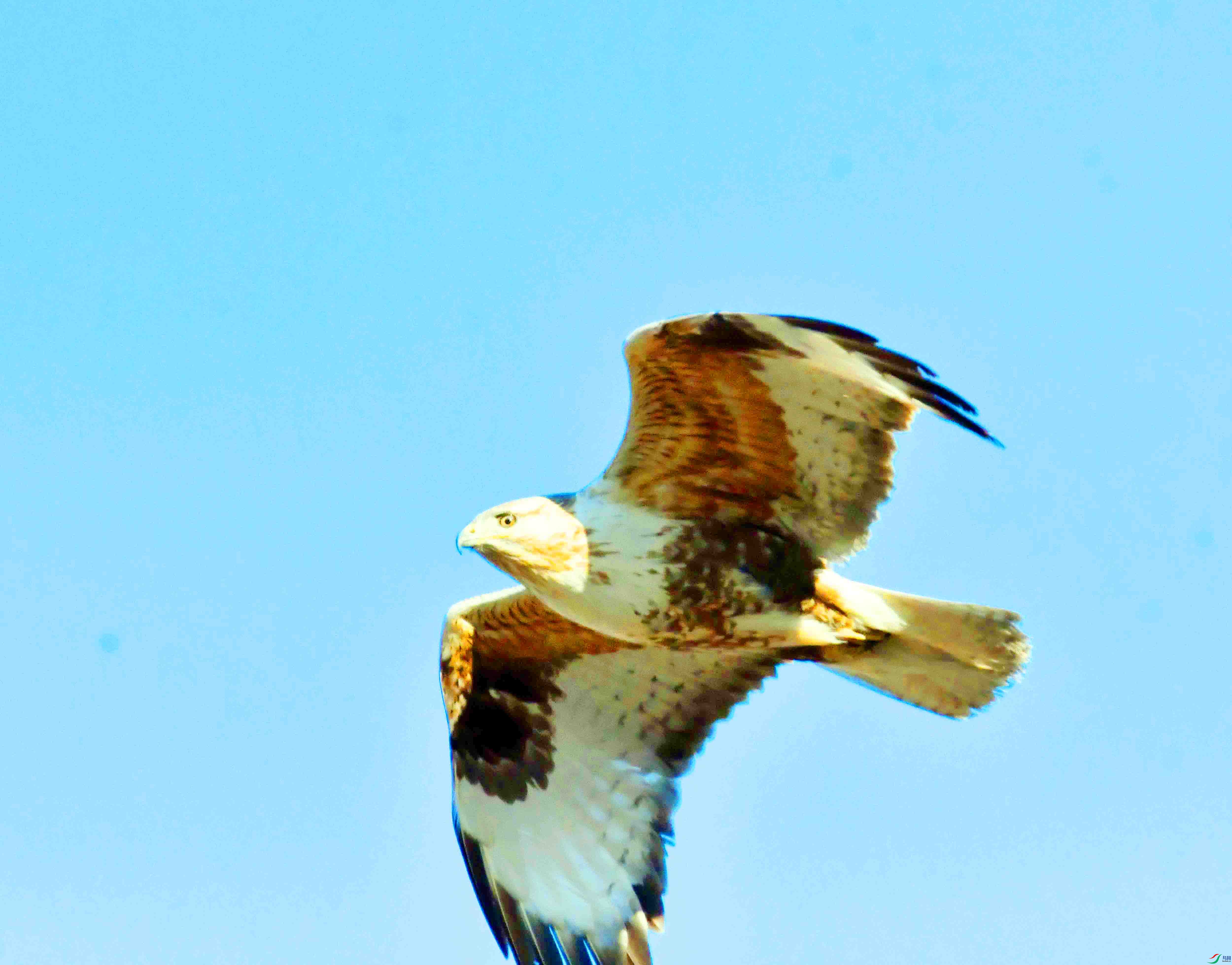 DSC_6270.JPG