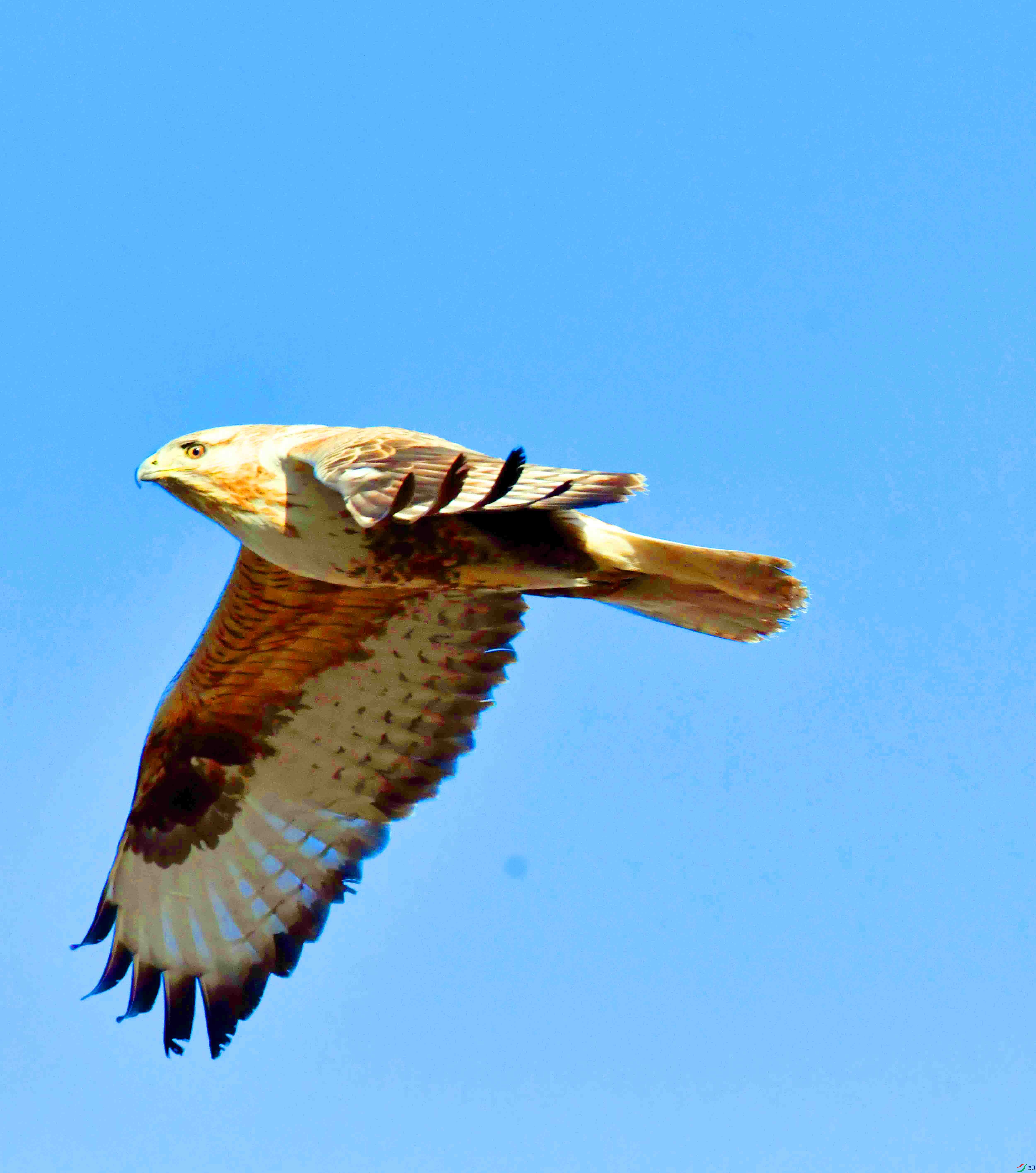 DSC_6274.JPG